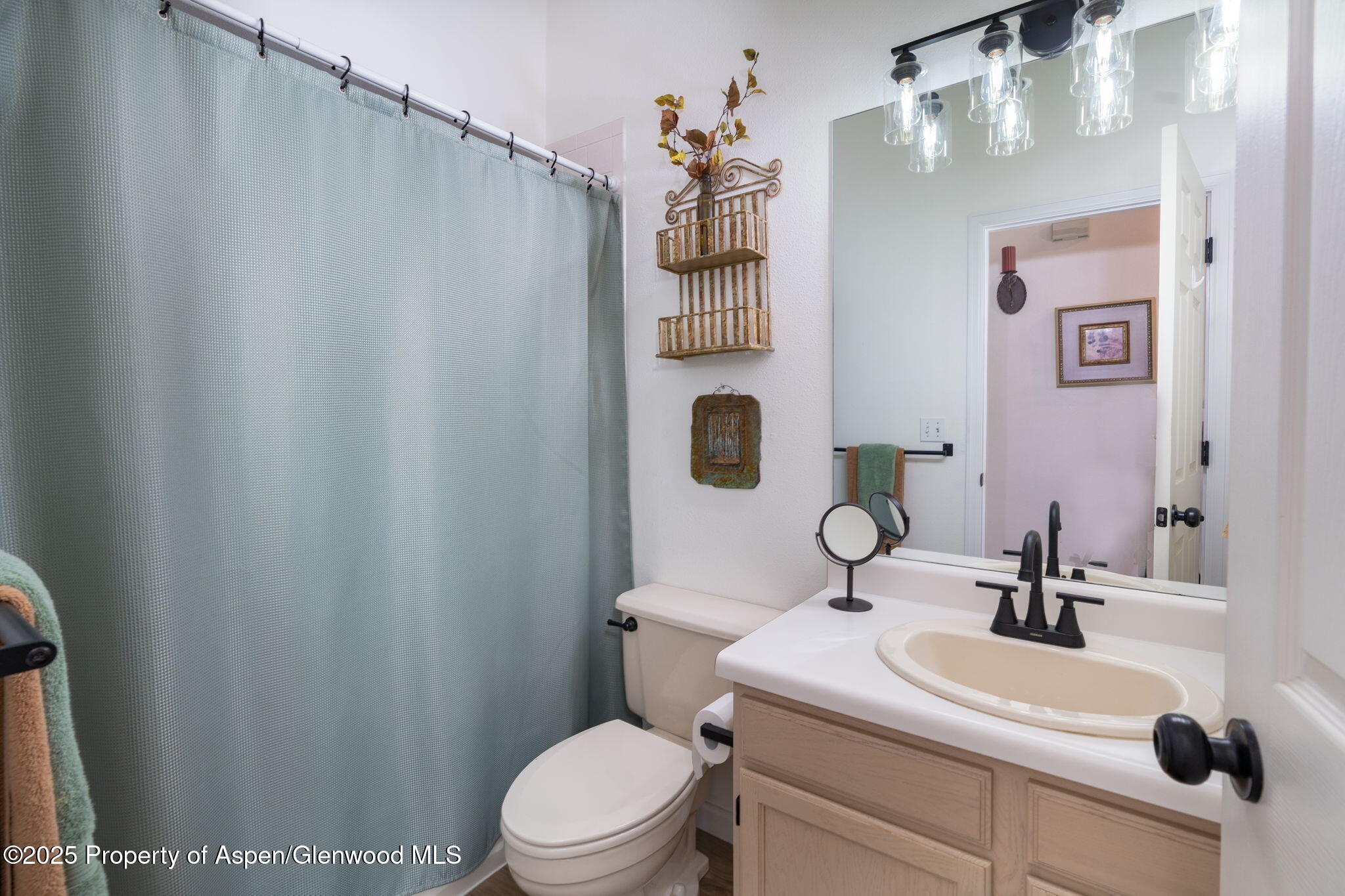 100 Limberpine Circle Battlement Mesa CO 81635