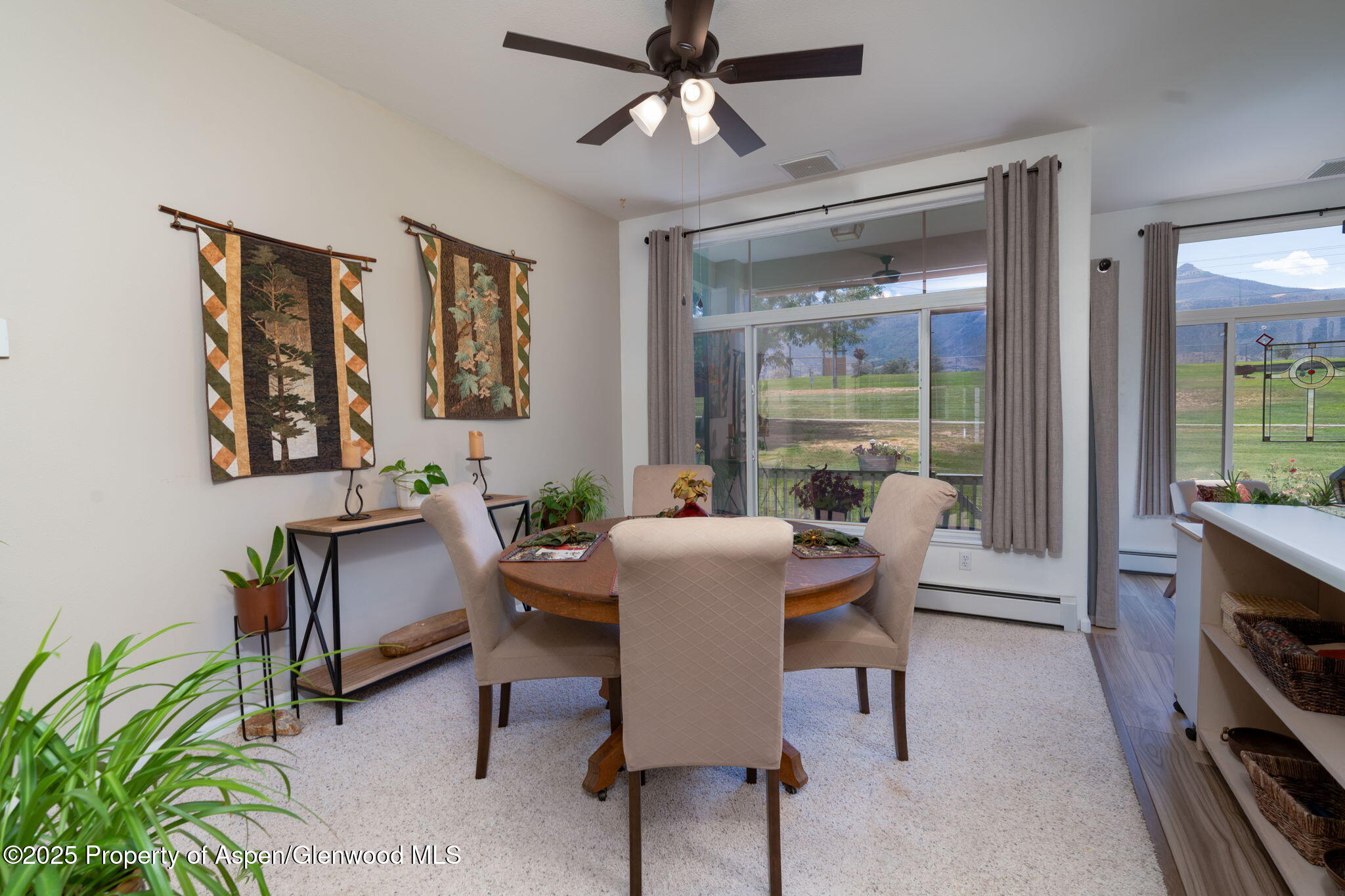 100 Limberpine Circle Battlement Mesa CO 81635