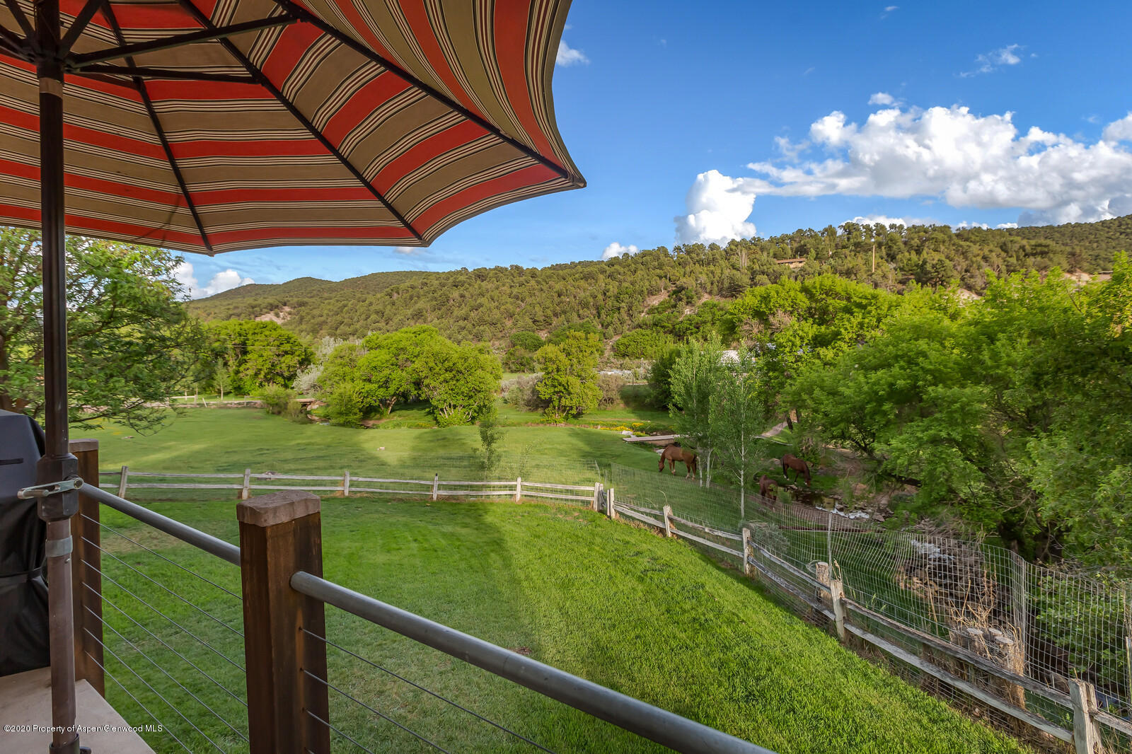 1164 County Road 113 Carbondale CO 81623