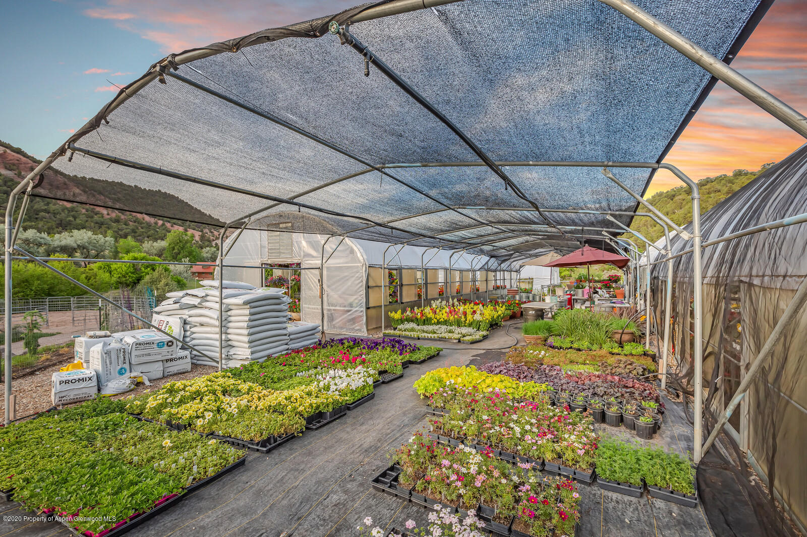 1164 County Road 113 Carbondale CO 81623