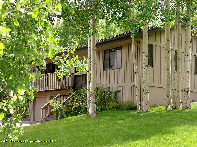 107 Meadow Lane Snowmass Village CO 81615