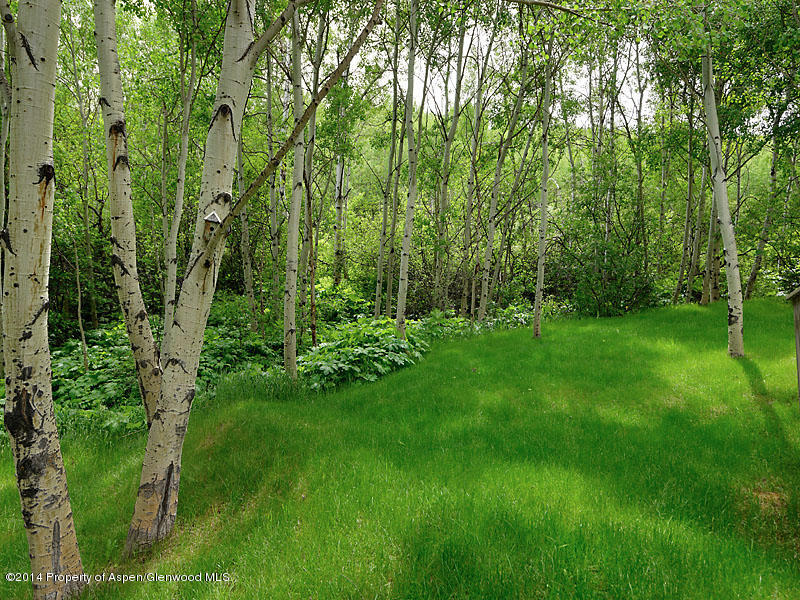 107 Meadow Lane Snowmass Village CO 81615