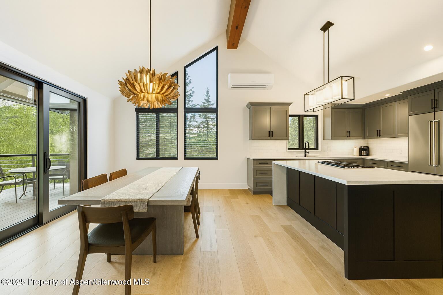 593 Meadowood Drive Aspen CO 81611