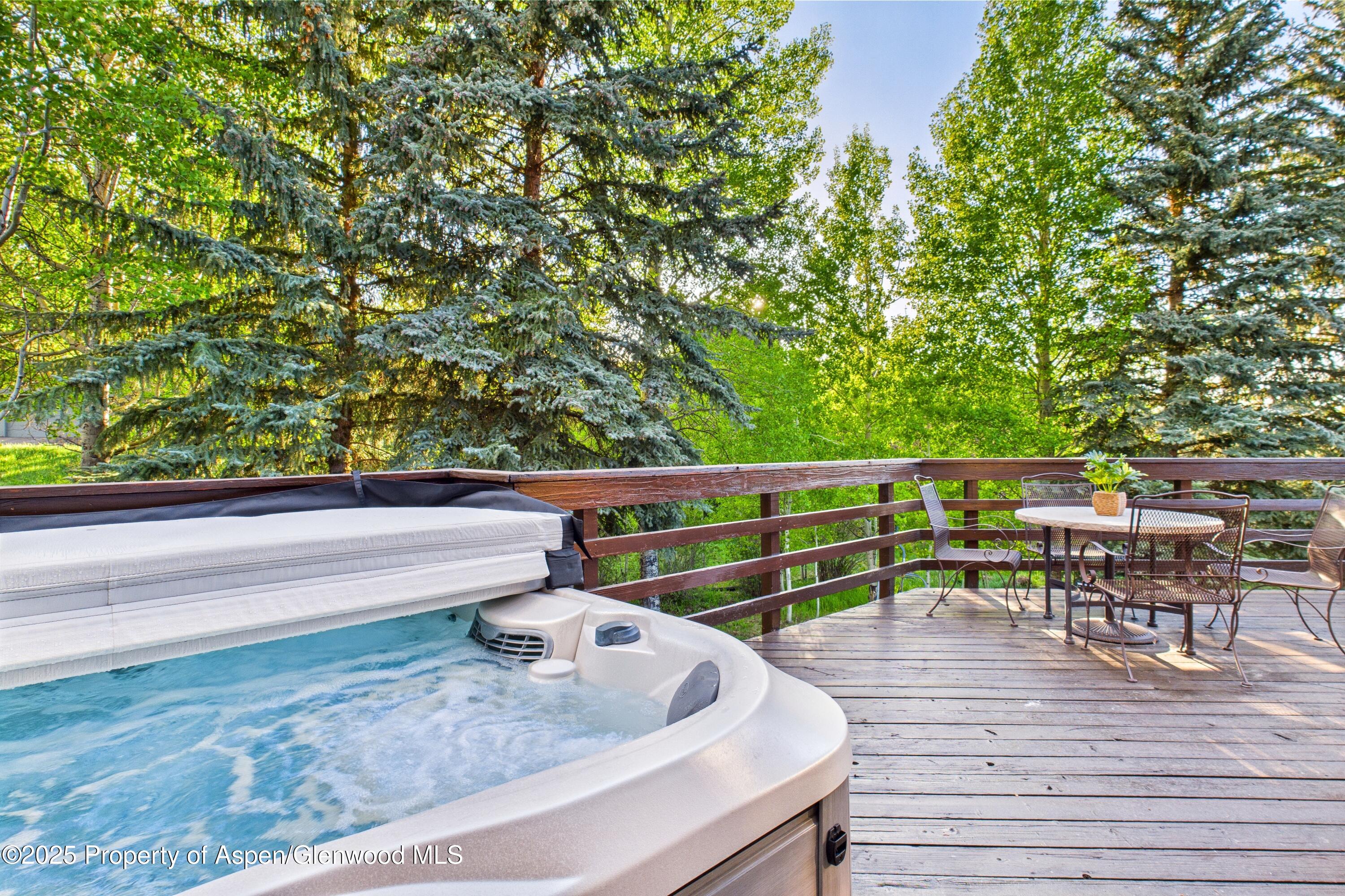 593 Meadowood Drive Aspen CO 81611