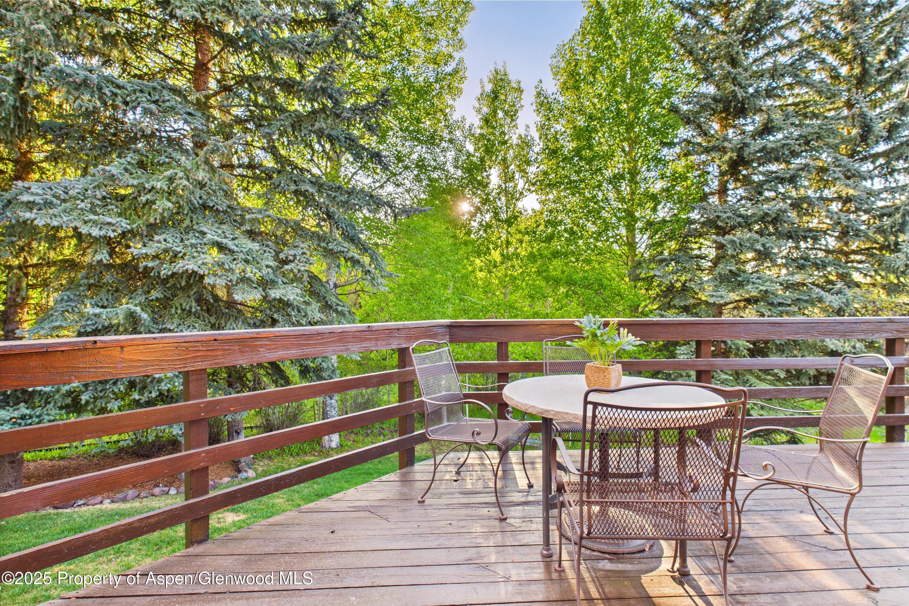 593 Meadowood Drive Aspen CO 81611