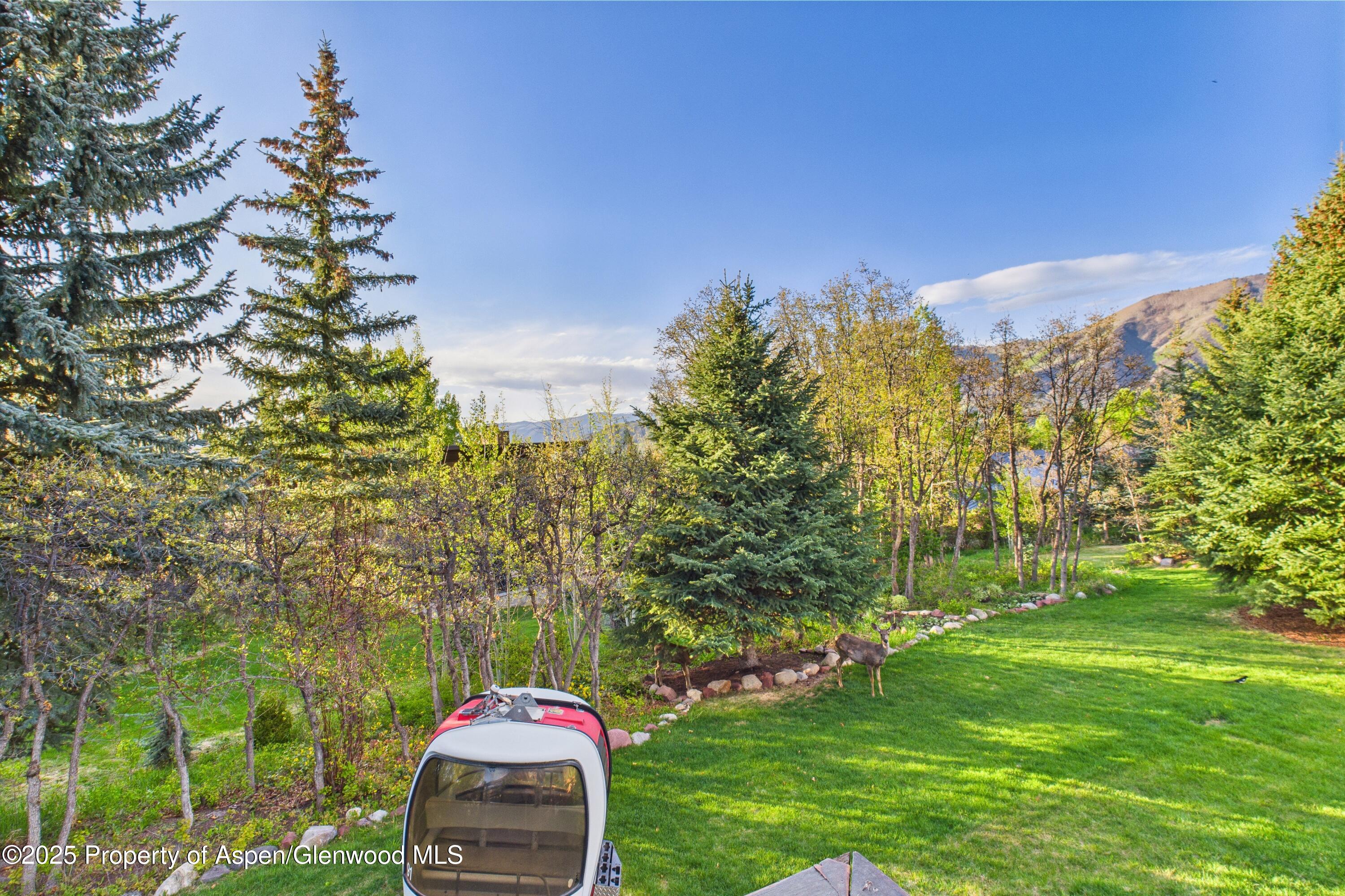 593 Meadowood Drive Aspen CO 81611