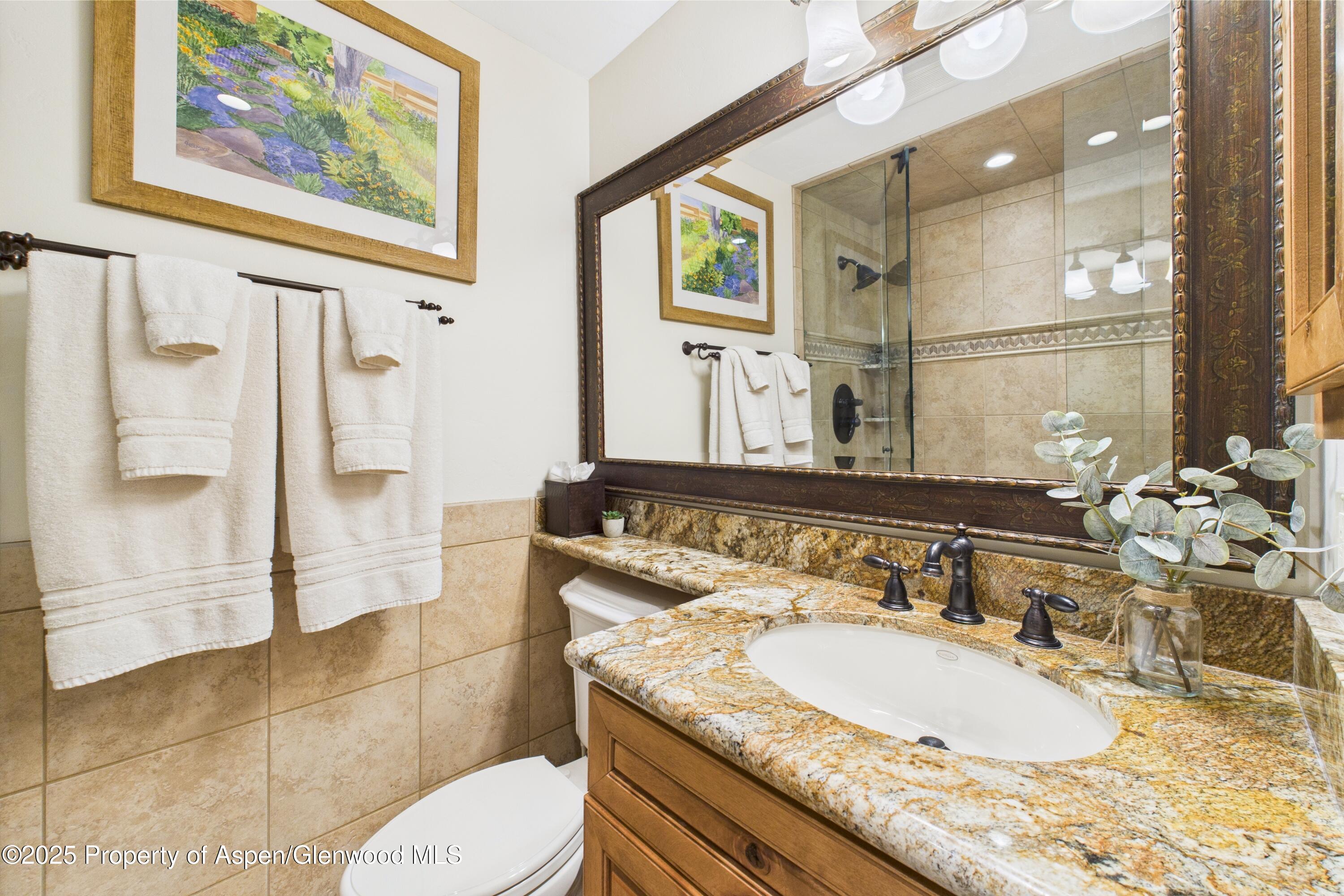 593 Meadowood Drive Aspen CO 81611