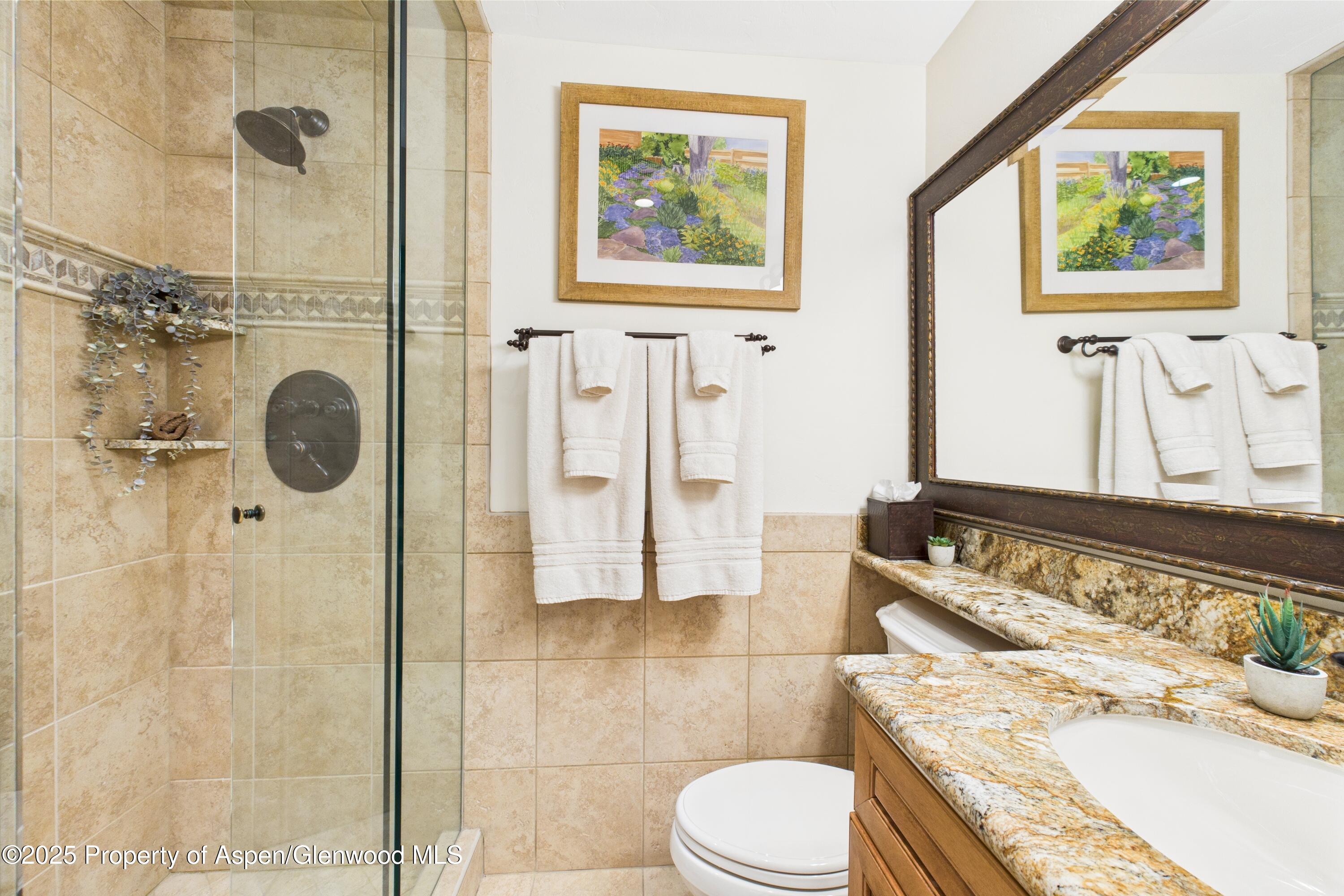 593 Meadowood Drive Aspen CO 81611