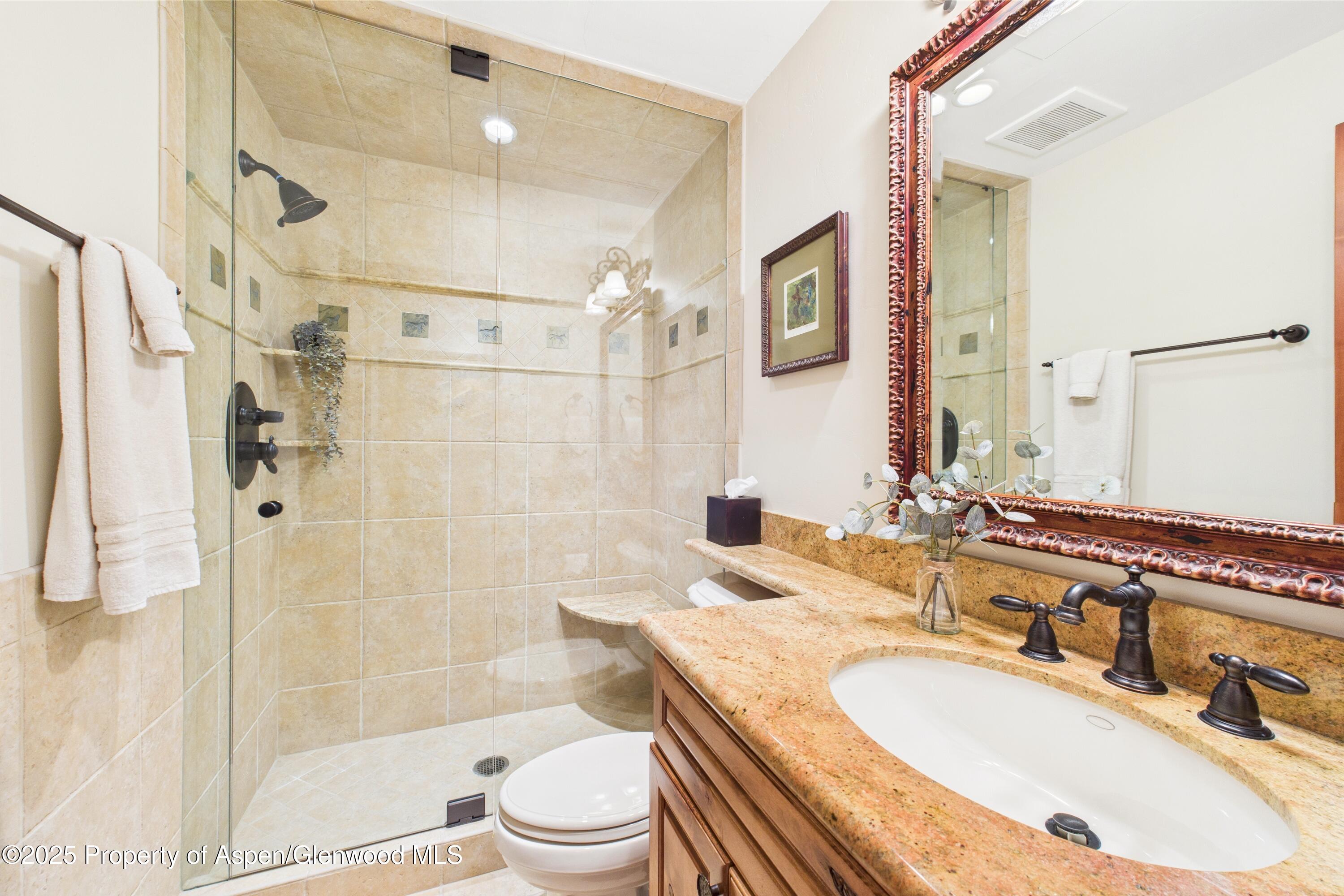 593 Meadowood Drive Aspen CO 81611