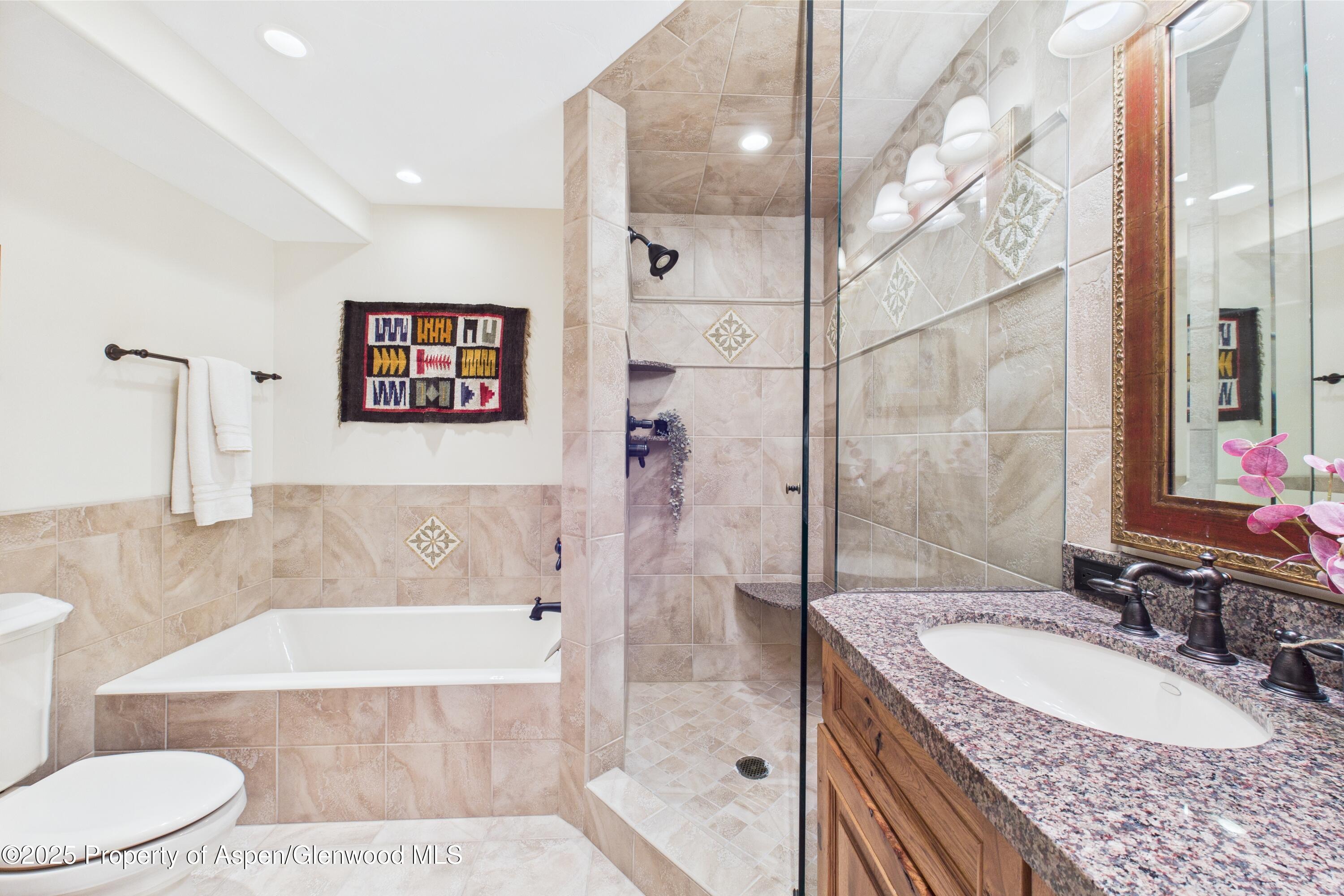 593 Meadowood Drive Aspen CO 81611