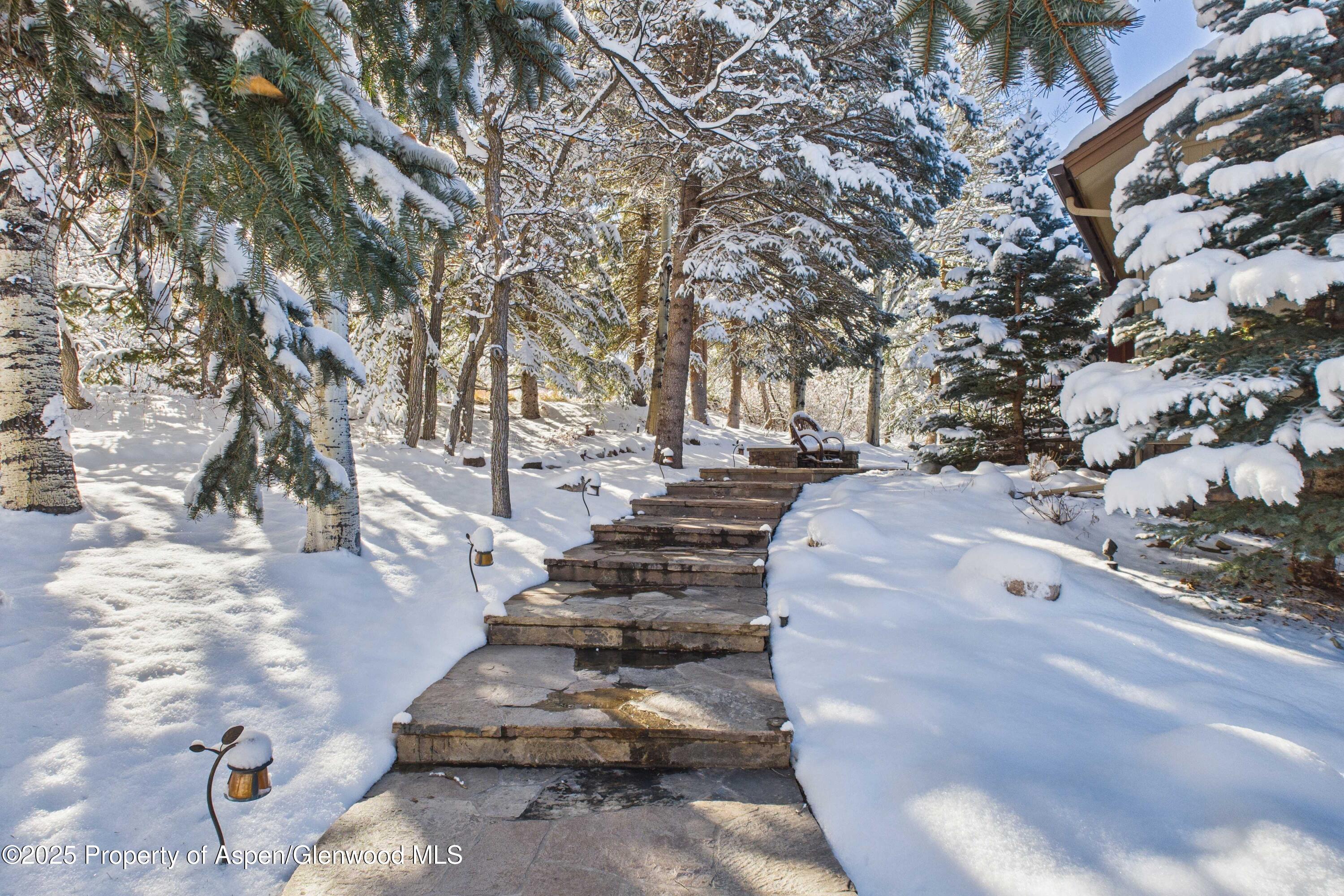 593 Meadowood Drive Aspen CO 81611