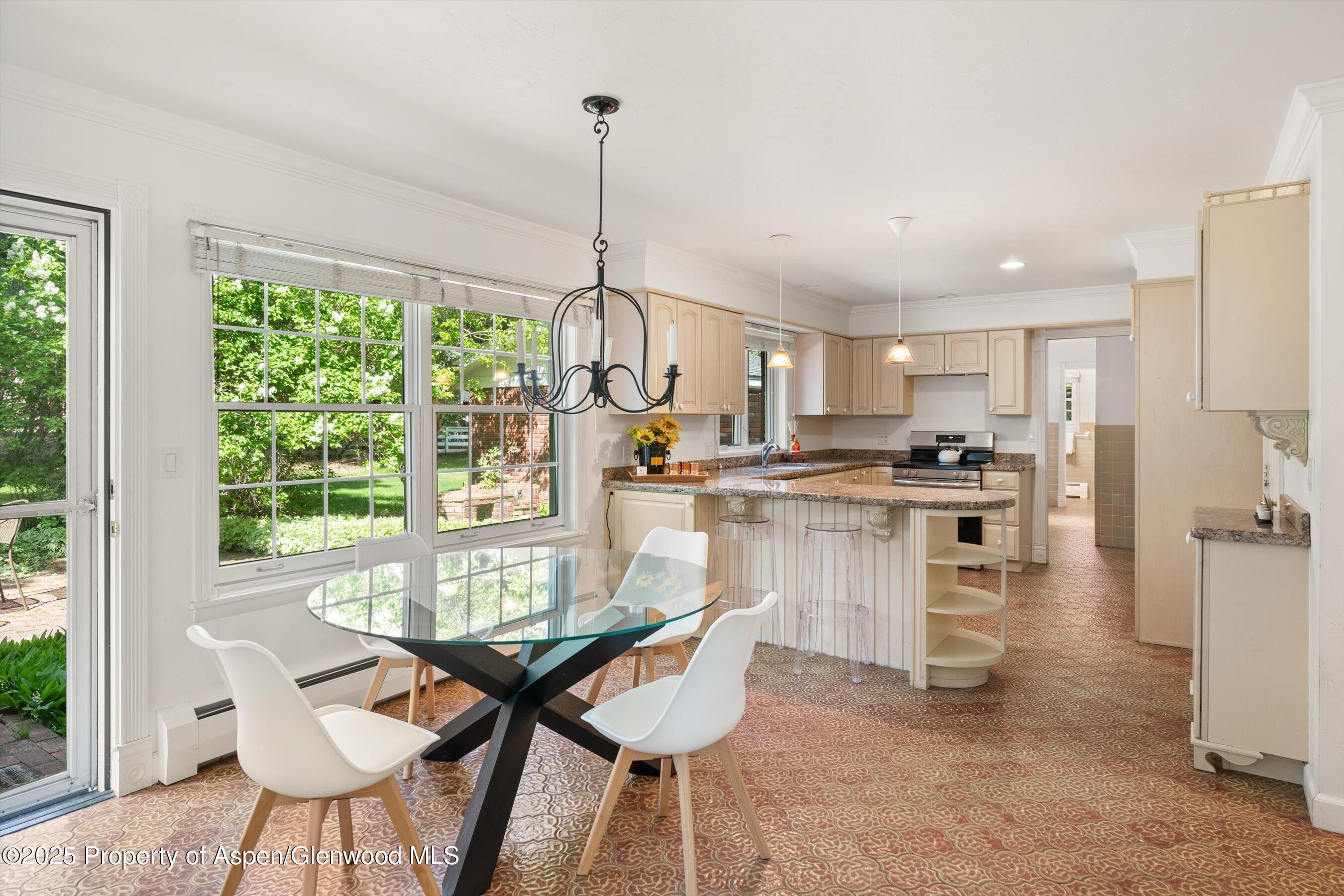 875 Bonita Drive Aspen CO 81611