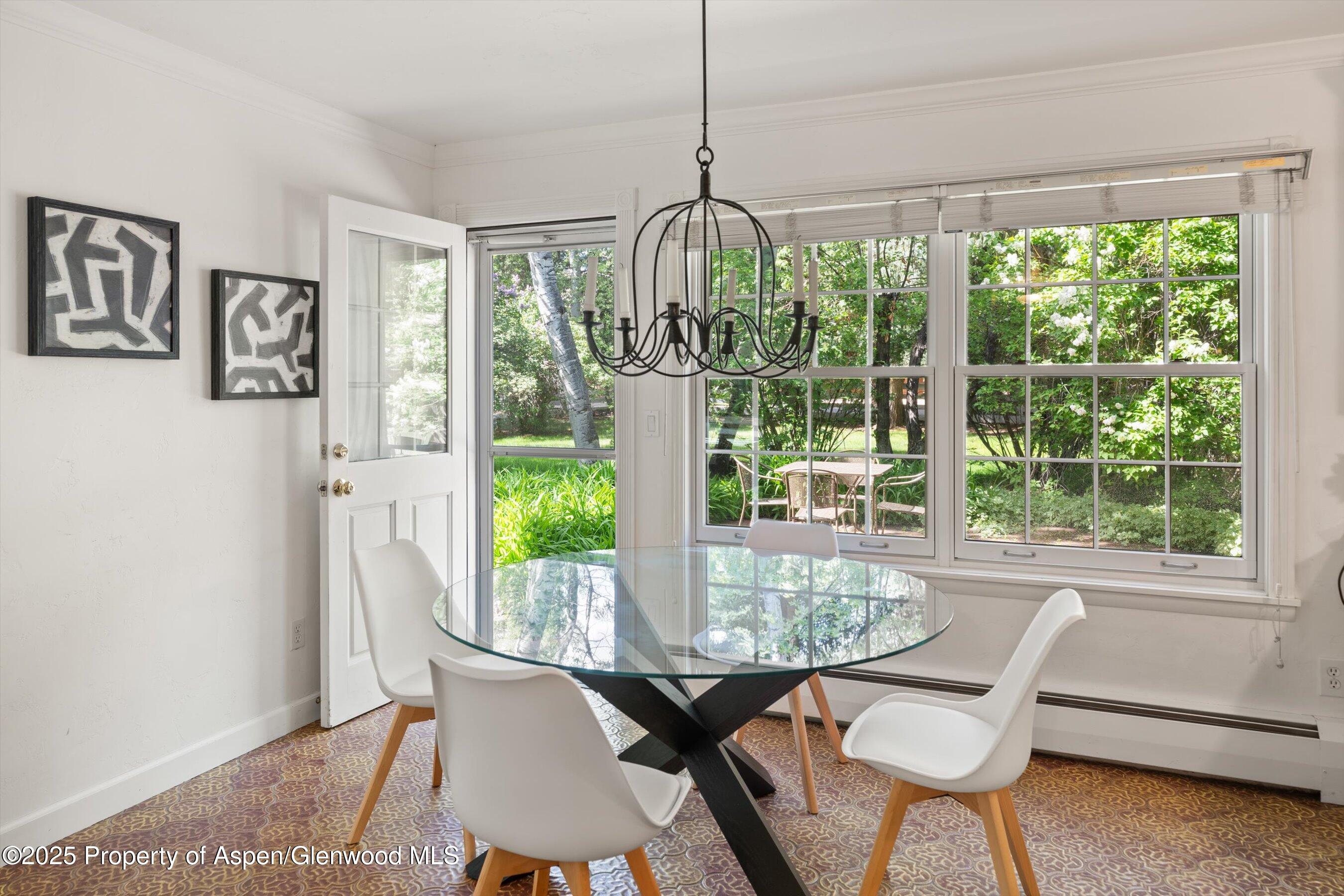 875 Bonita Drive Aspen CO 81611