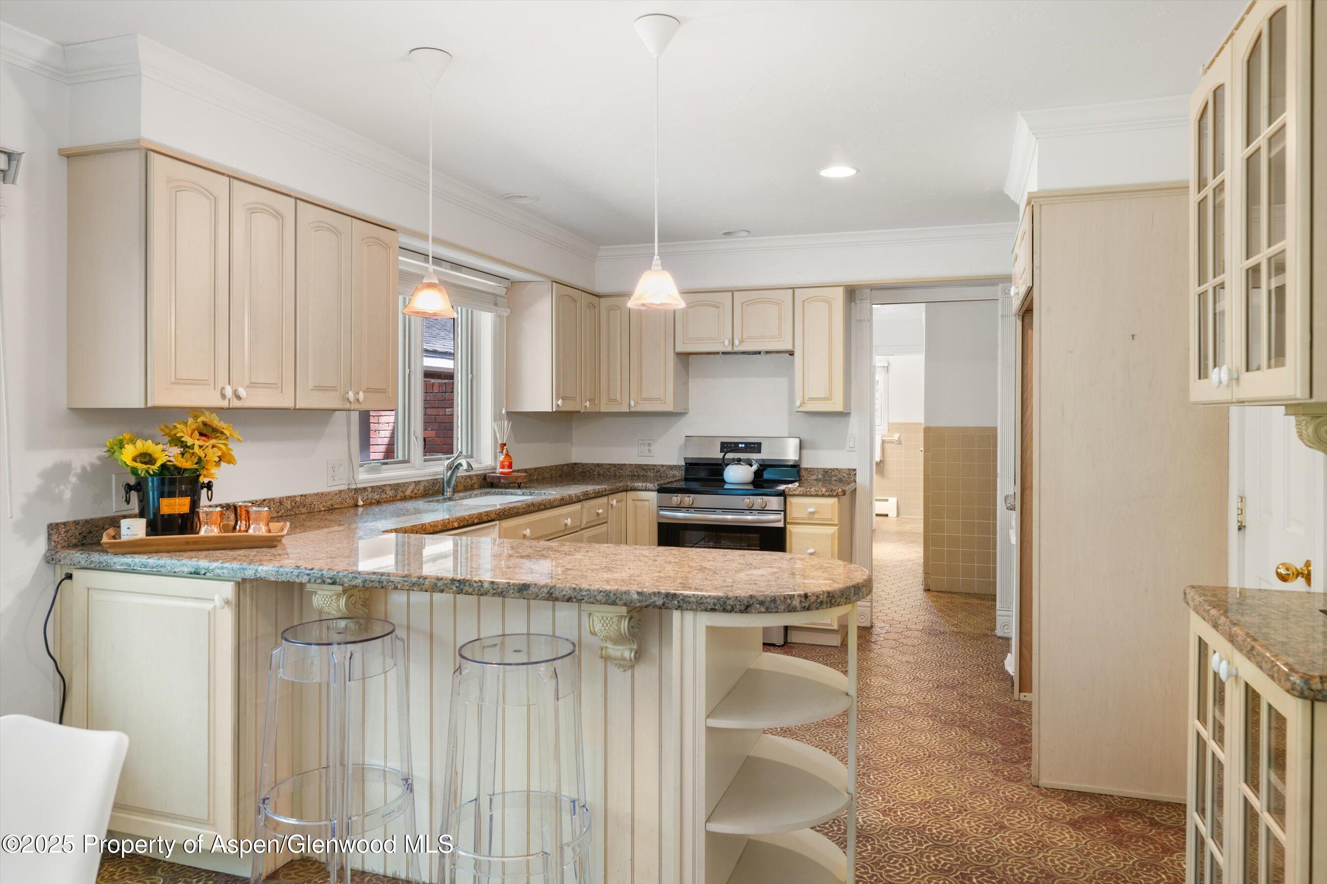 875 Bonita Drive Aspen CO 81611