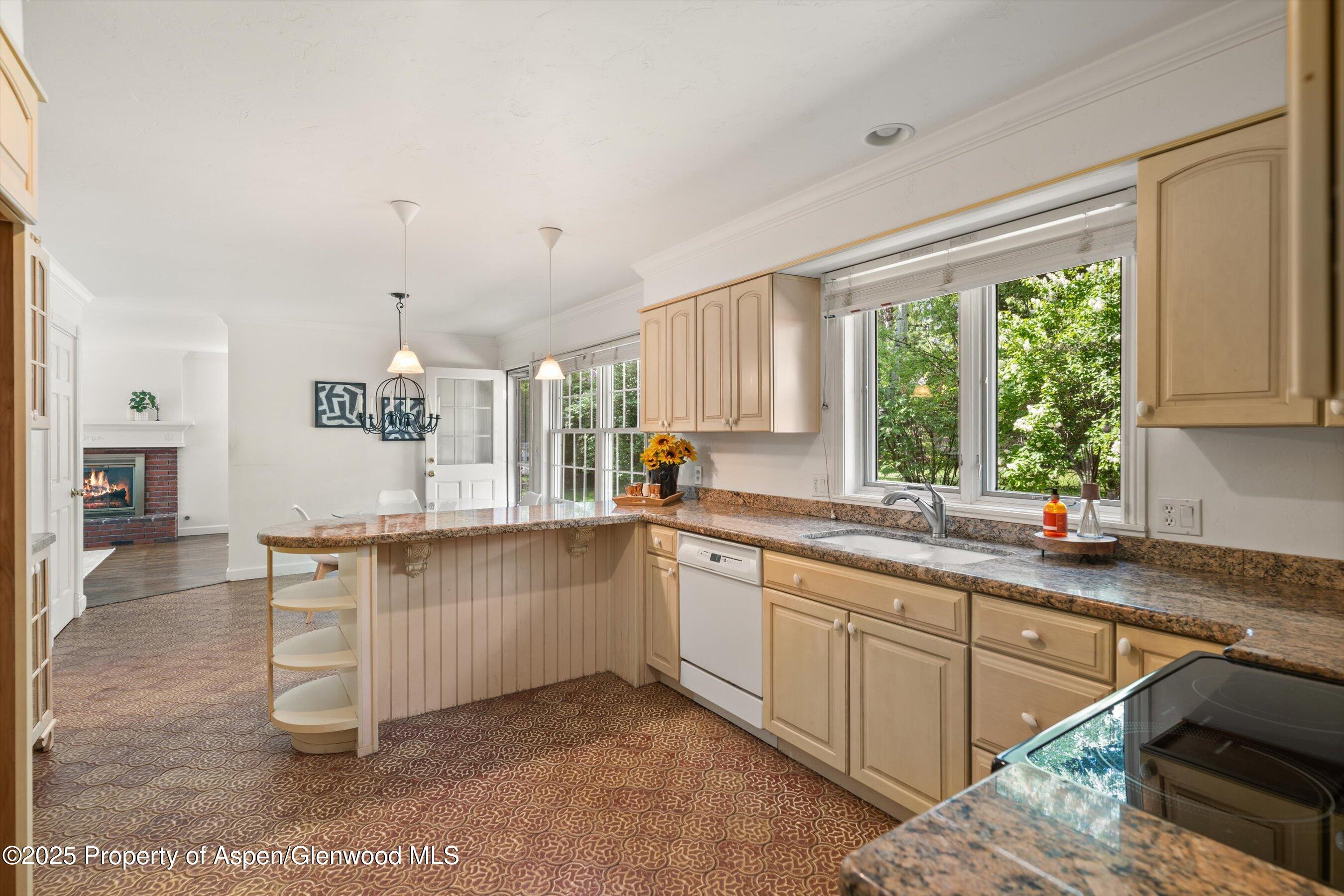 875 Bonita Drive Aspen CO 81611