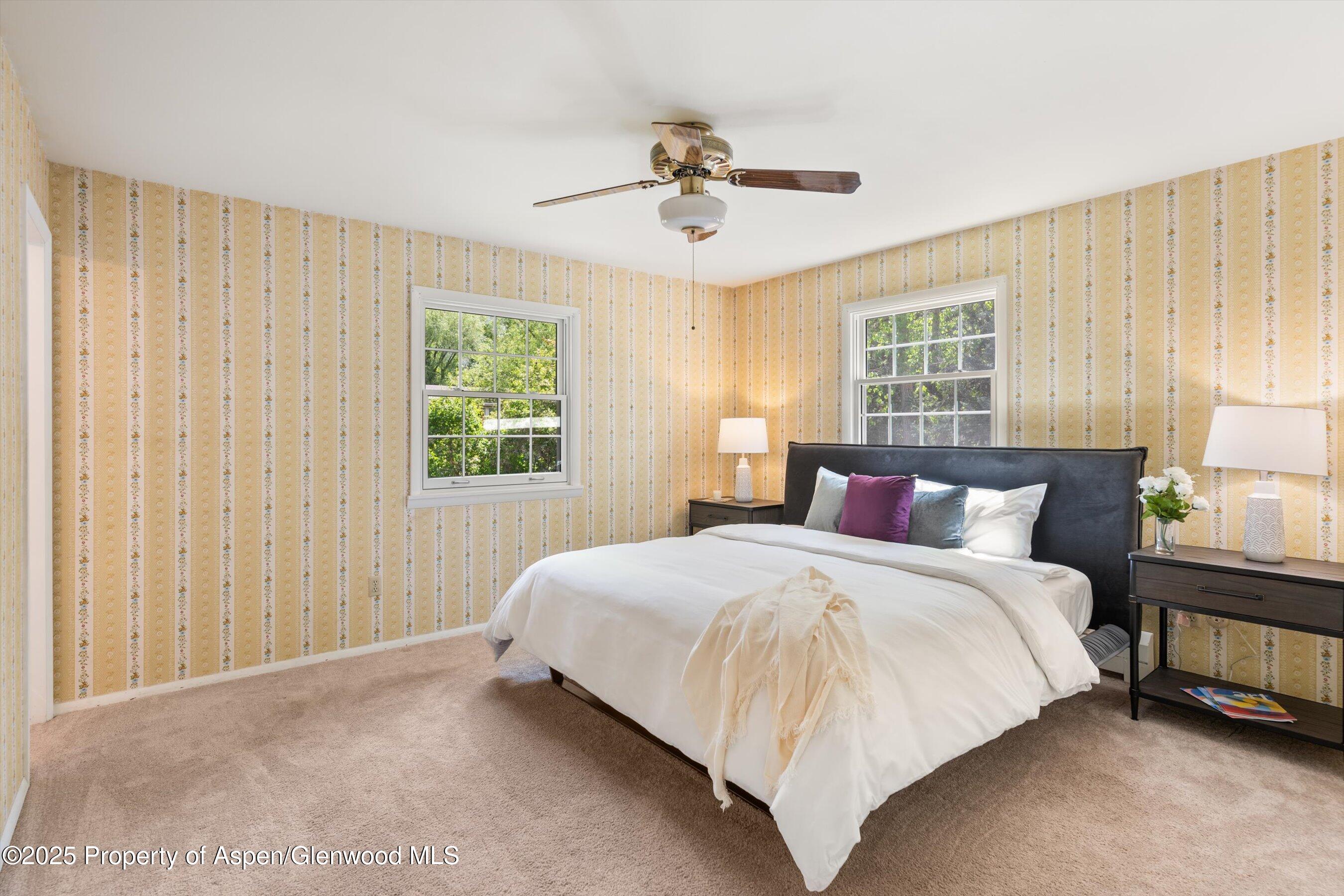 875 Bonita Drive Aspen CO 81611