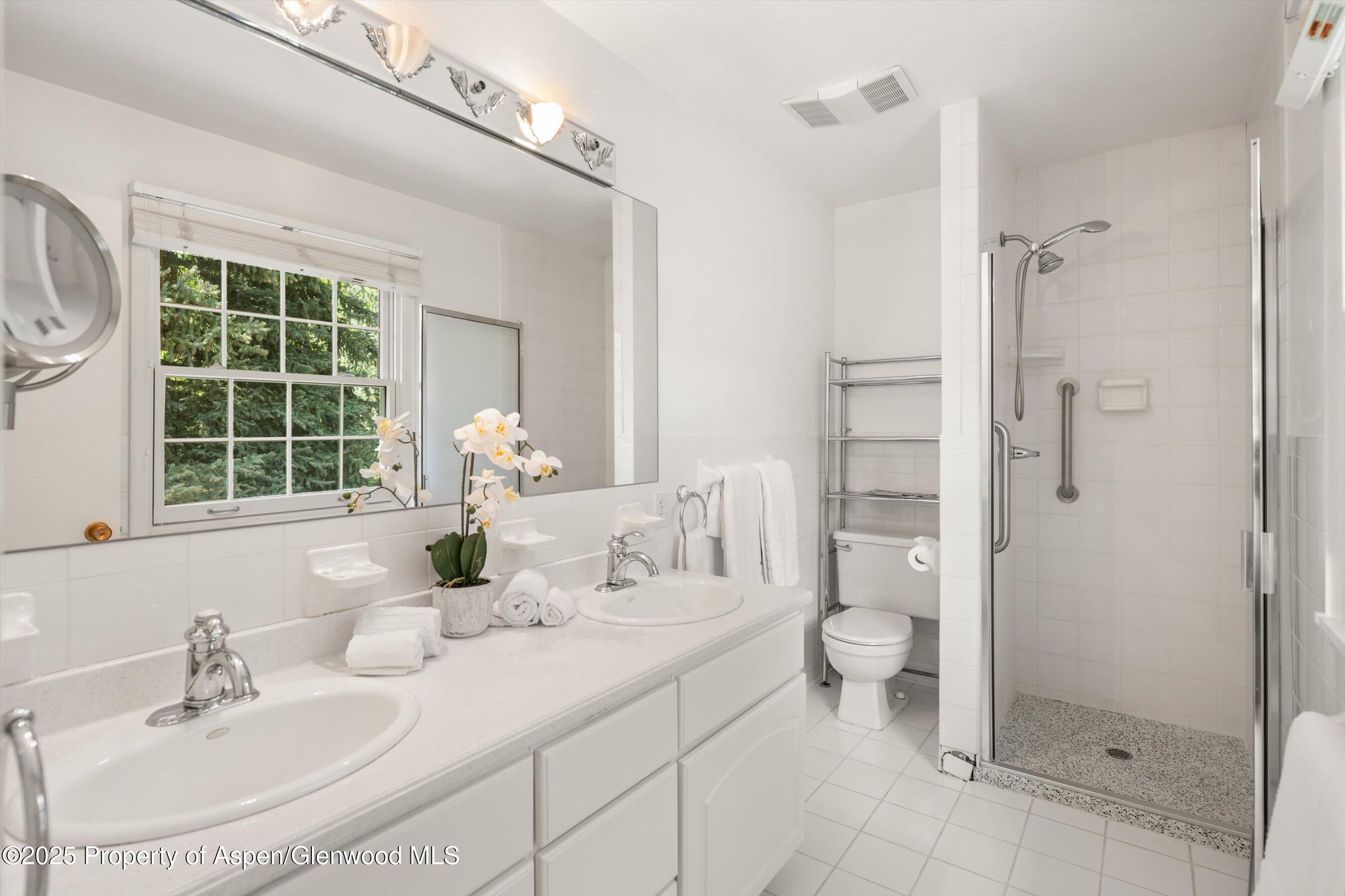 875 Bonita Drive Aspen CO 81611
