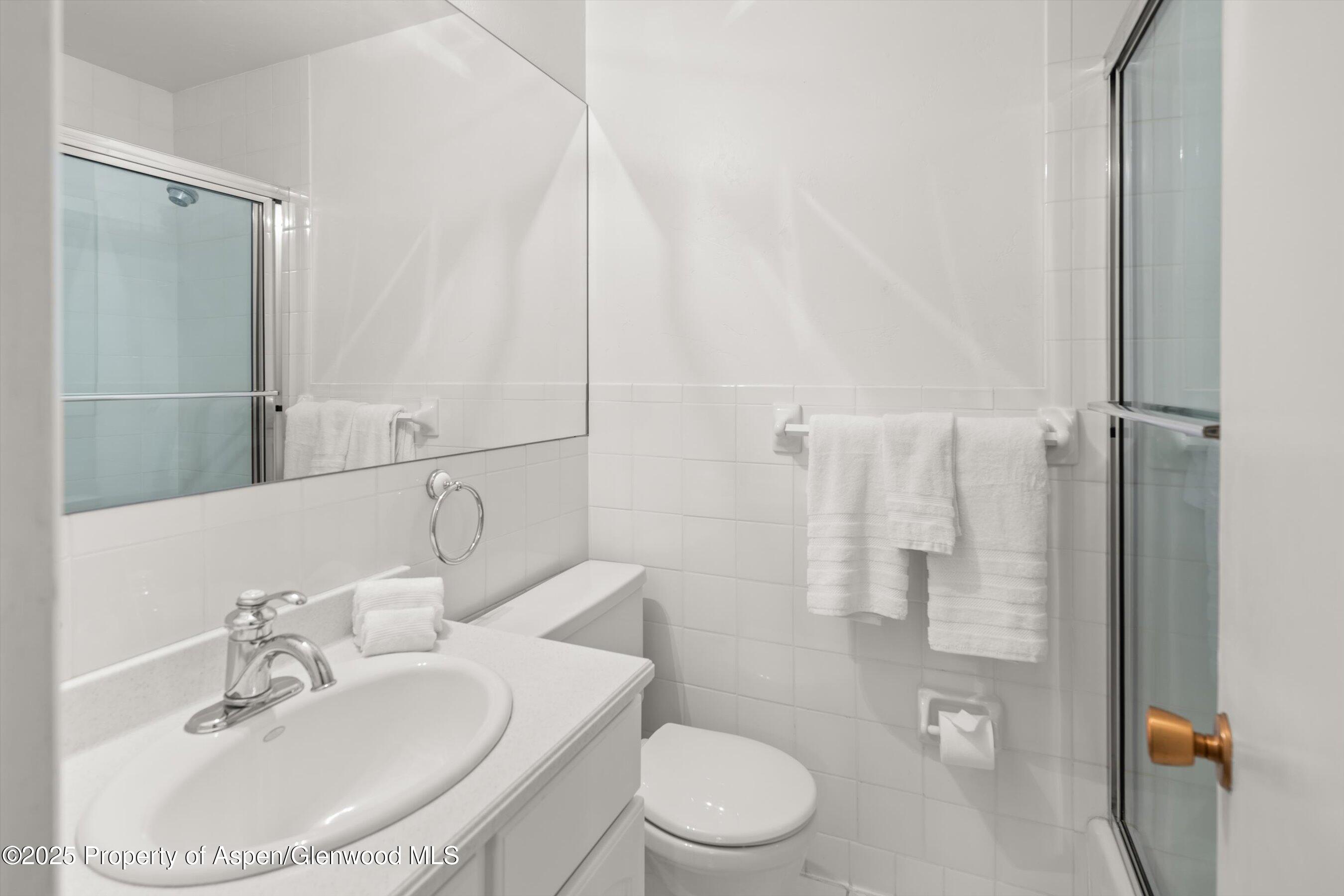 875 Bonita Drive Aspen CO 81611