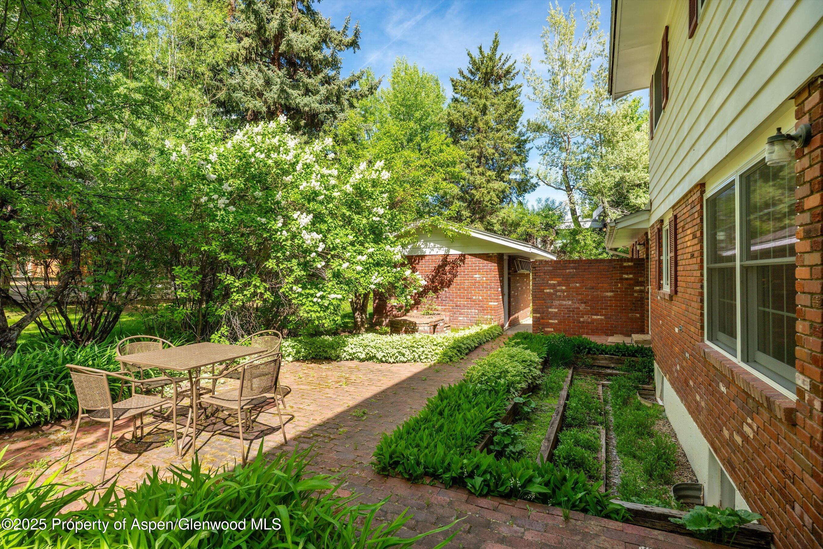 875 Bonita Drive Aspen CO 81611