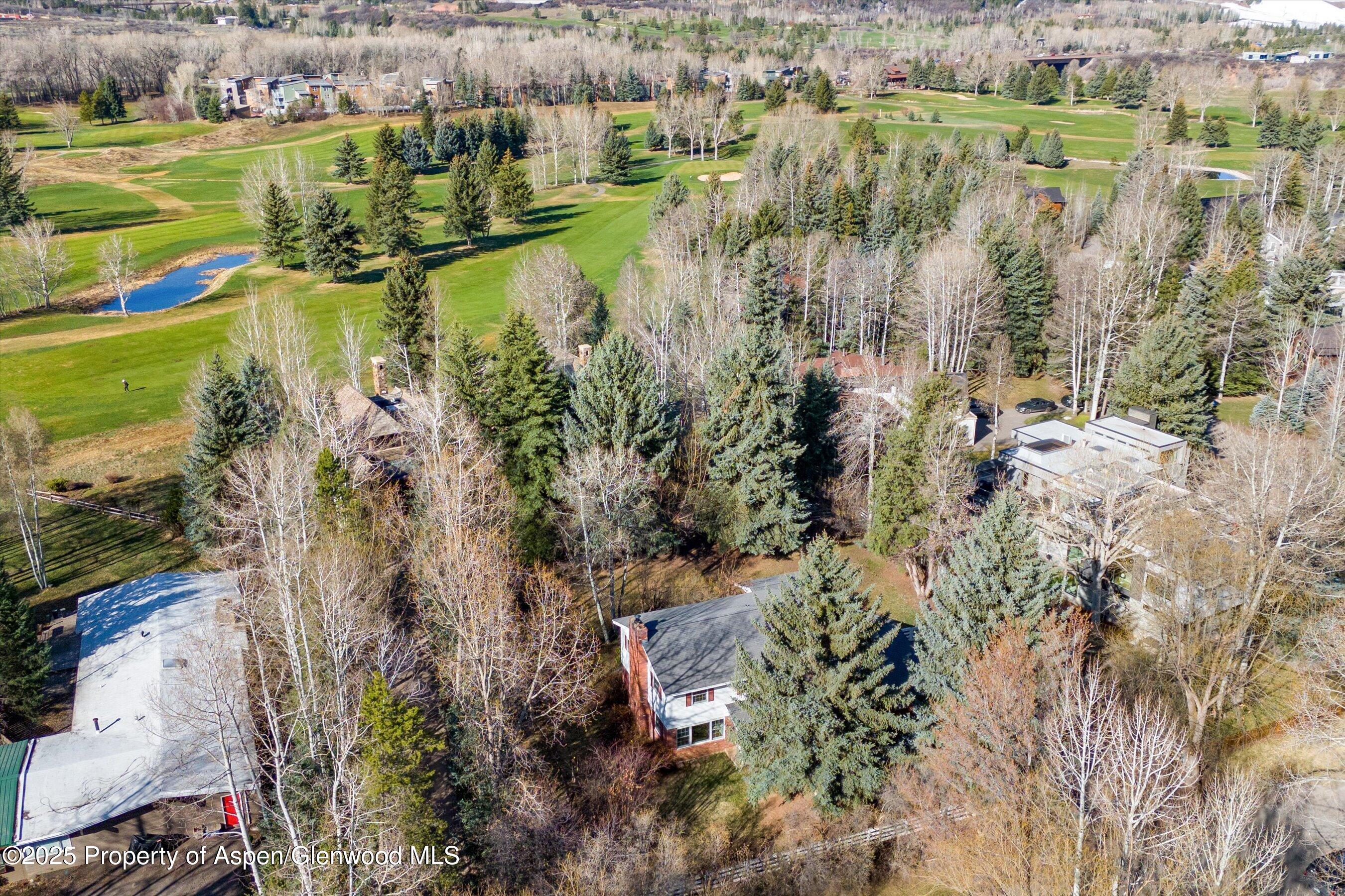 875 Bonita Drive Aspen CO 81611