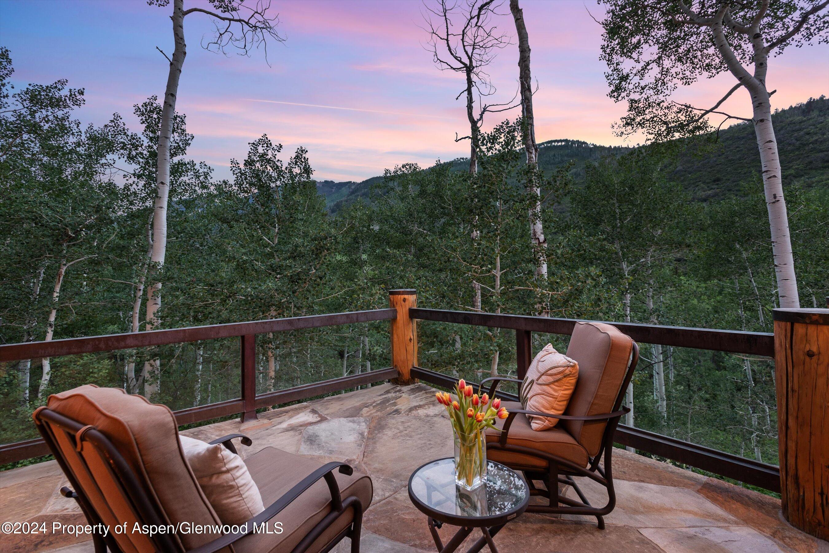 335 Hall Drive Aspen CO 81611