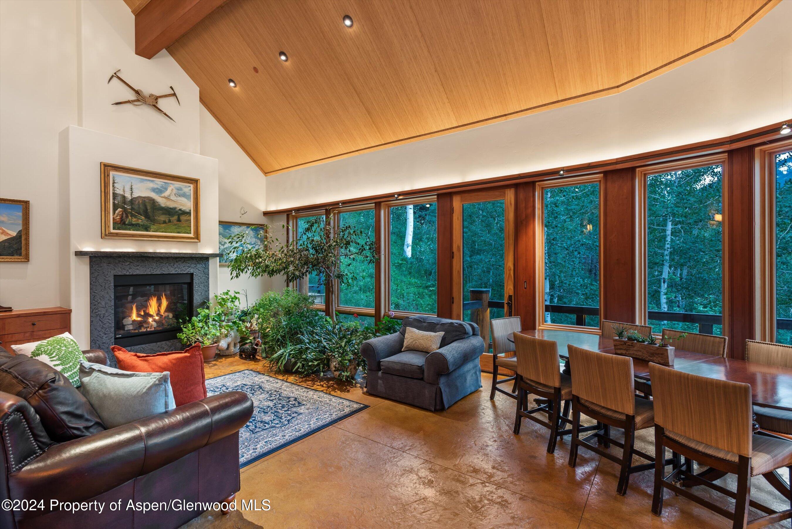 335 Hall Drive Aspen CO 81611