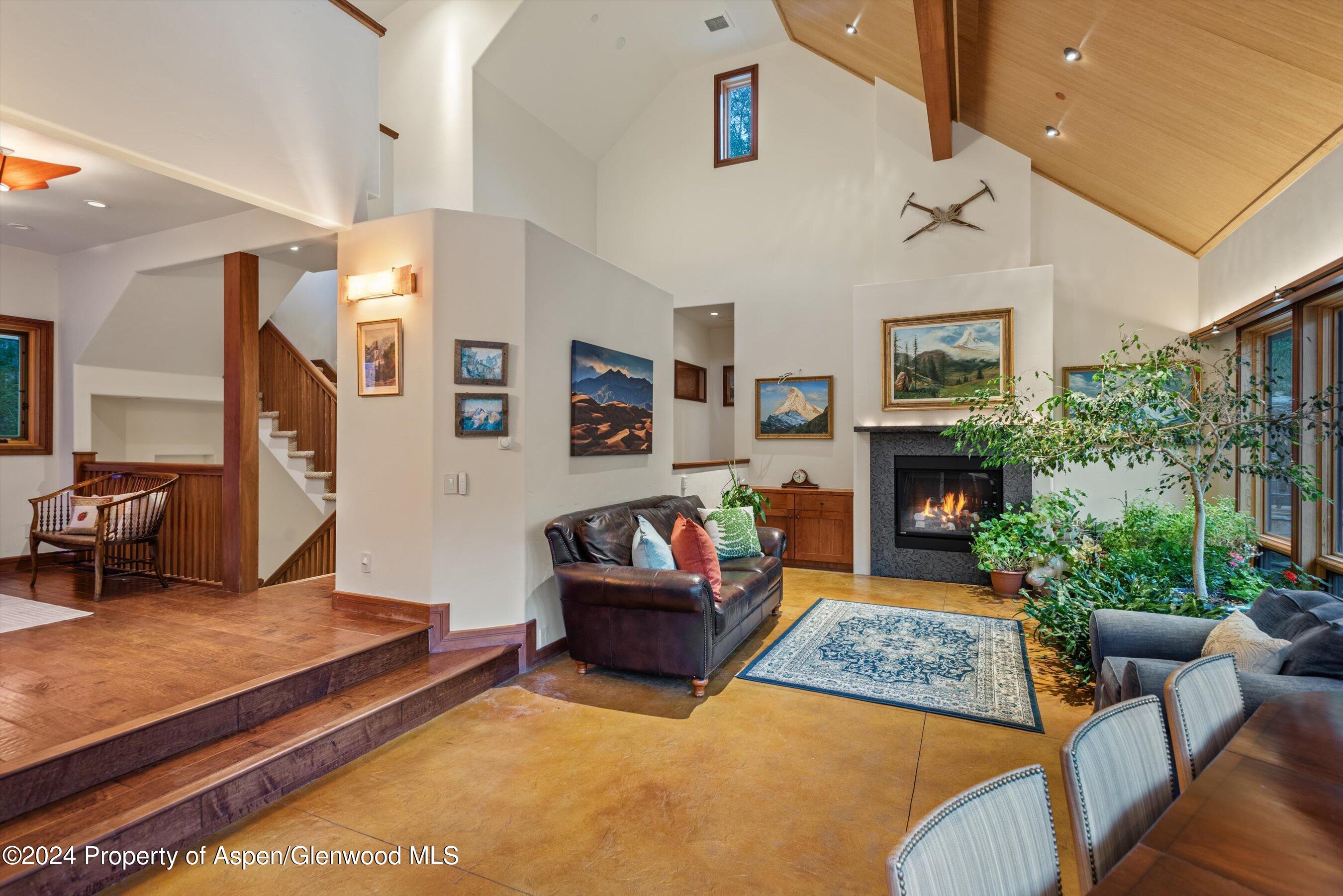 335 Hall Drive Aspen CO 81611