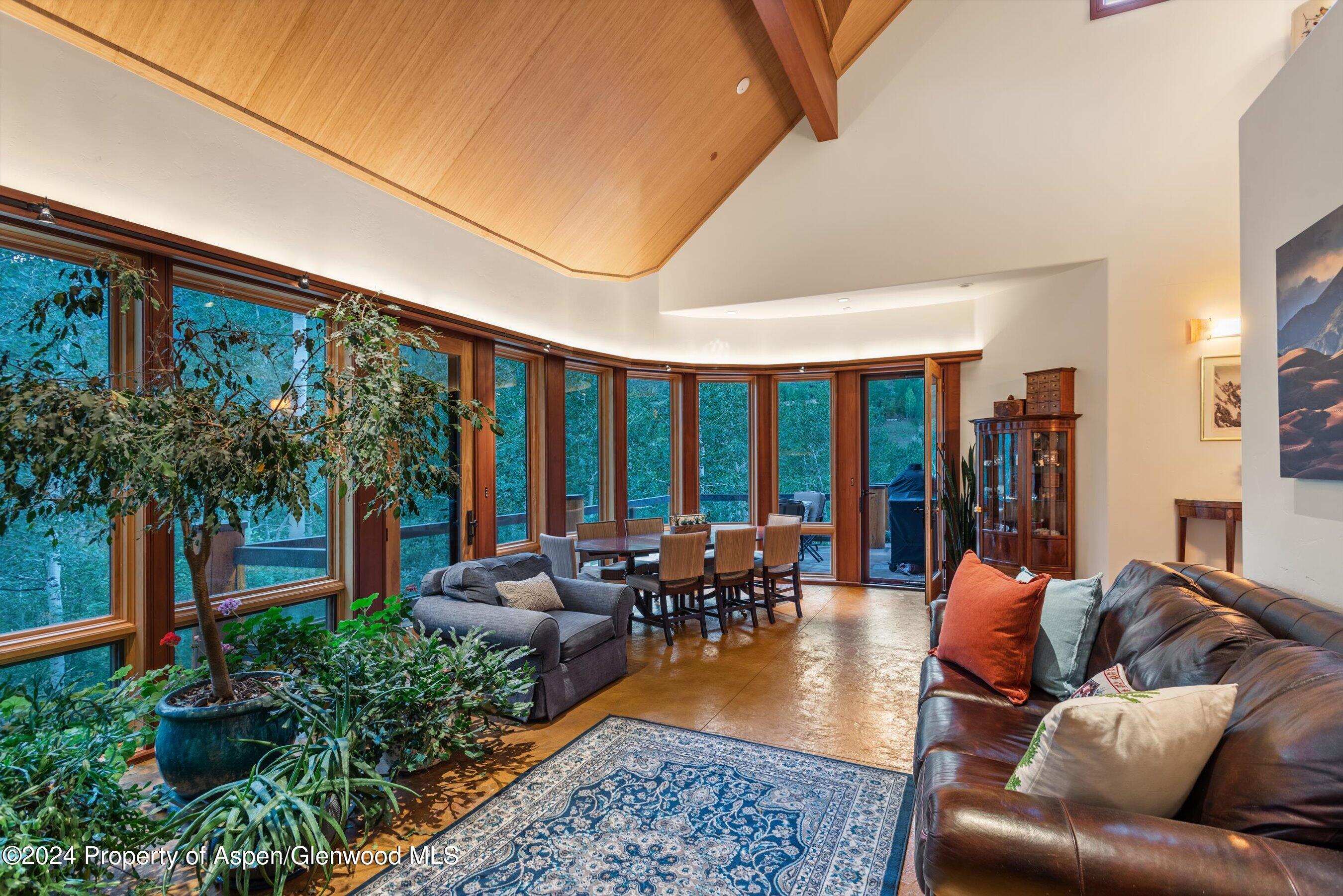 335 Hall Drive Aspen CO 81611