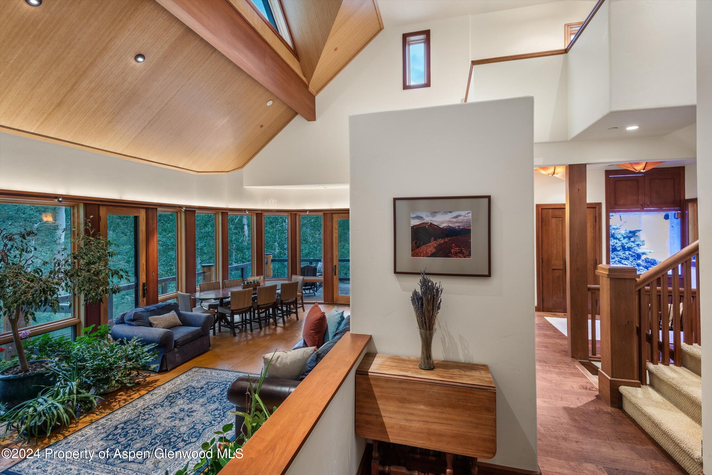 335 Hall Drive Aspen CO 81611