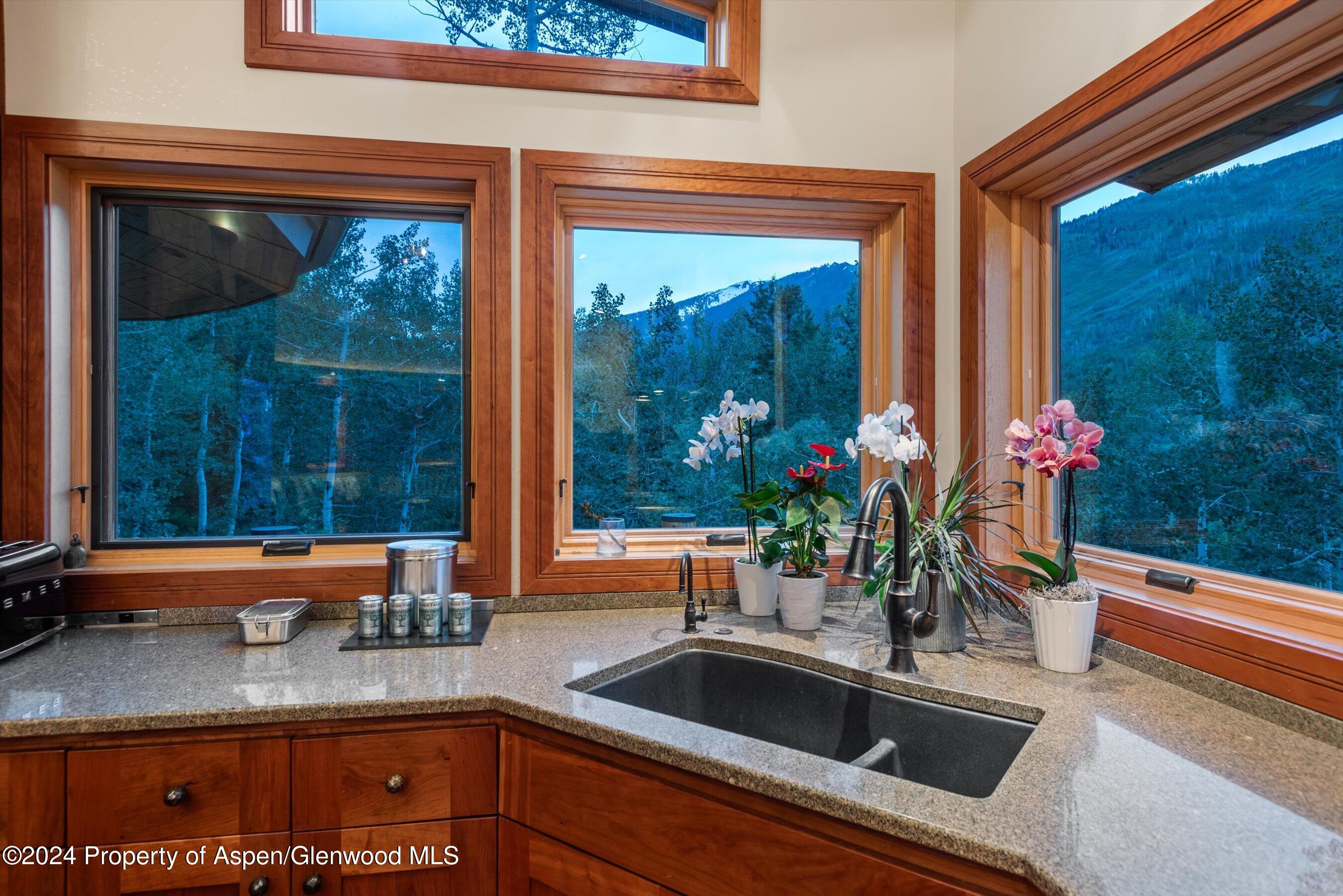 335 Hall Drive Aspen CO 81611