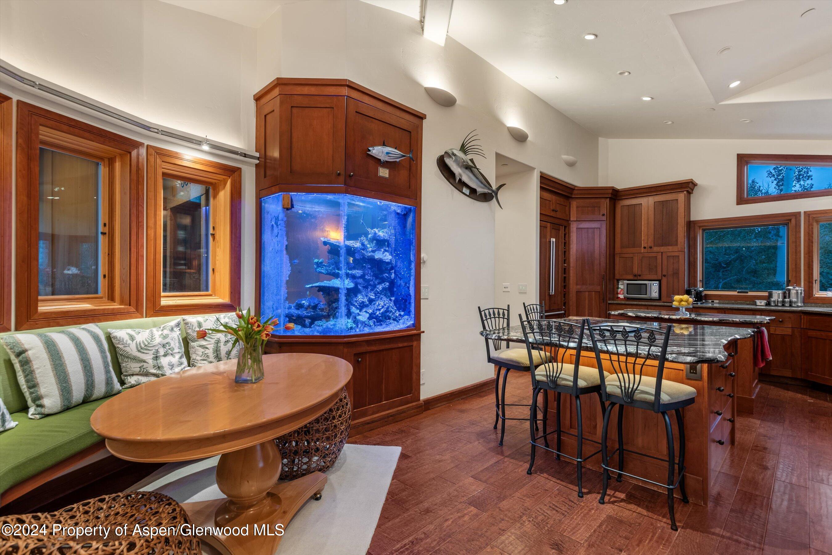 335 Hall Drive Aspen CO 81611