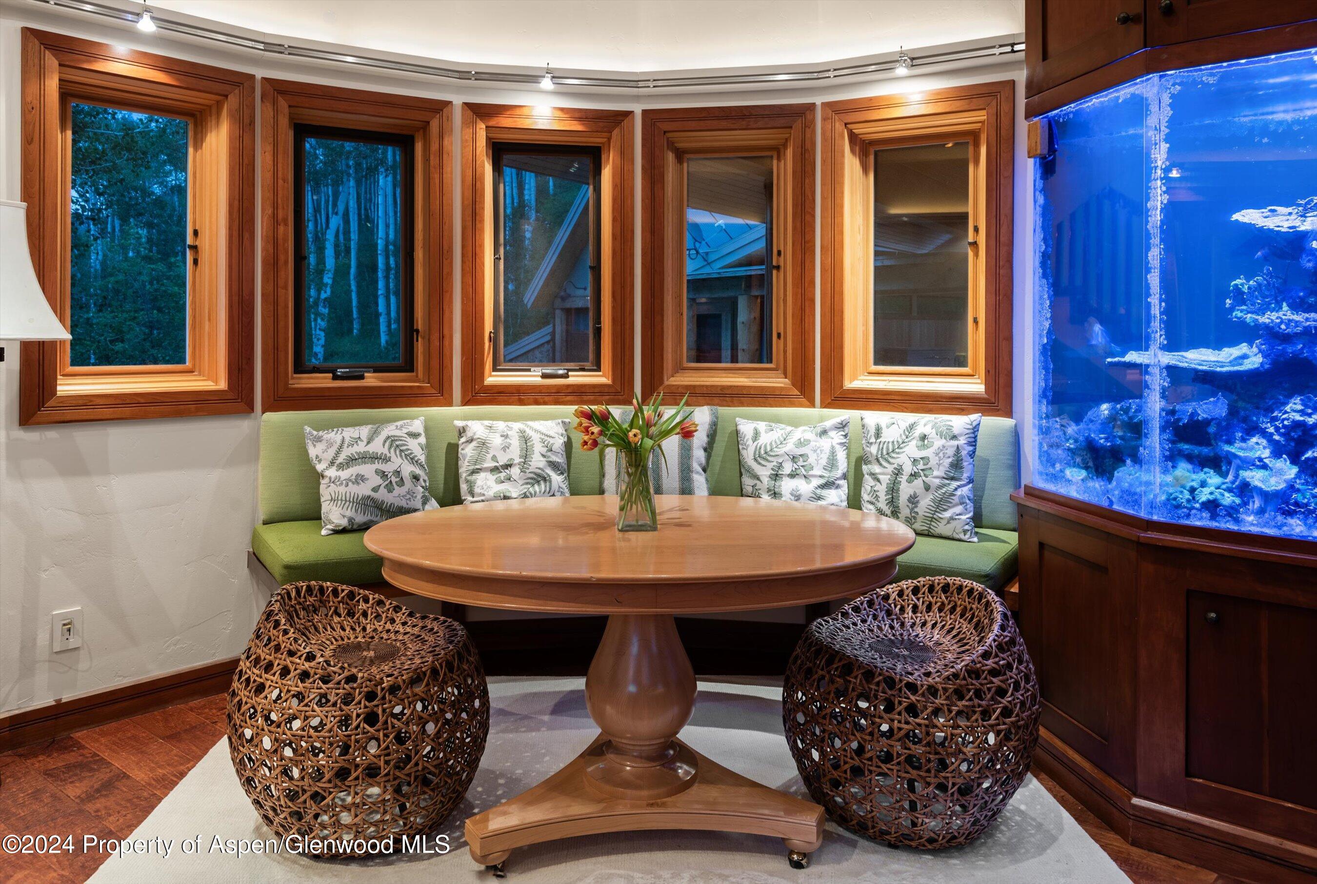 335 Hall Drive Aspen CO 81611