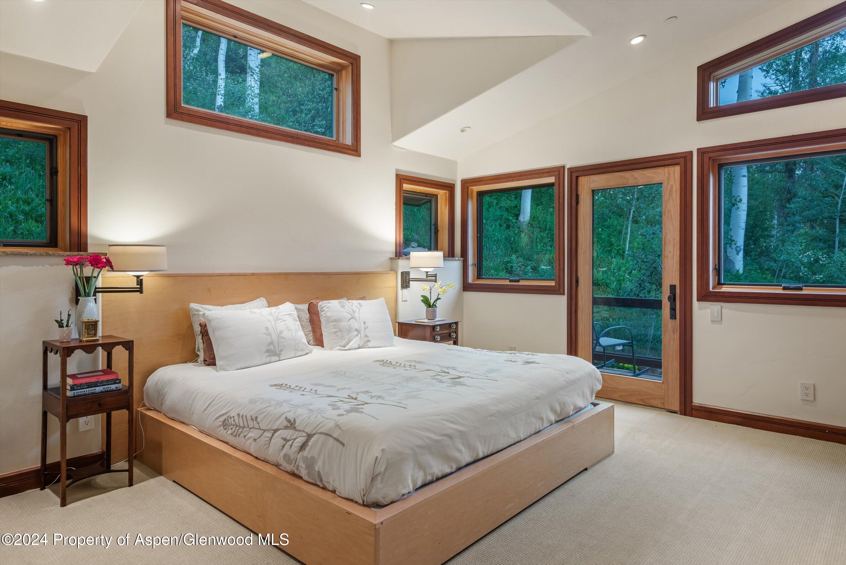 335 Hall Drive Aspen CO 81611