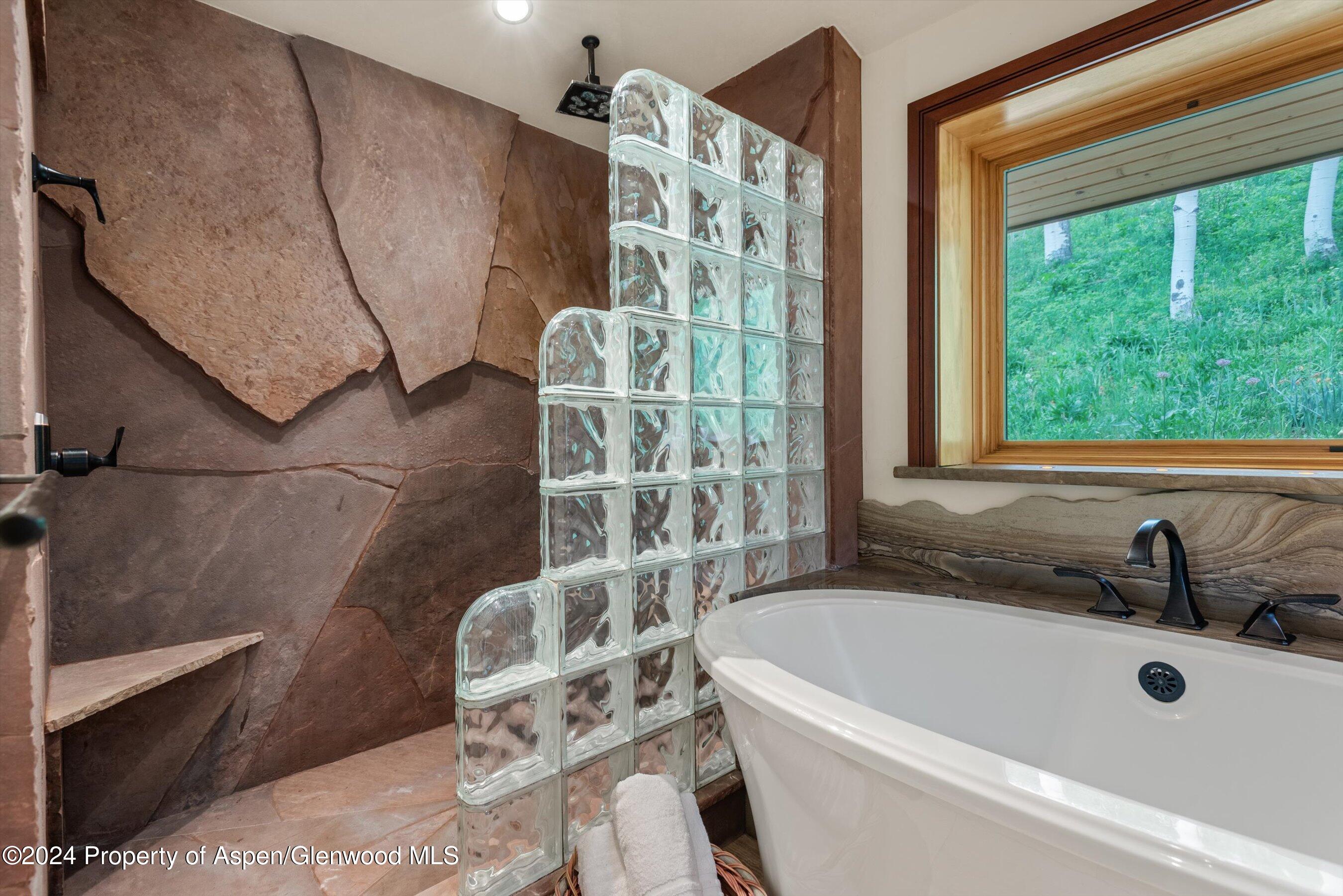 335 Hall Drive Aspen CO 81611