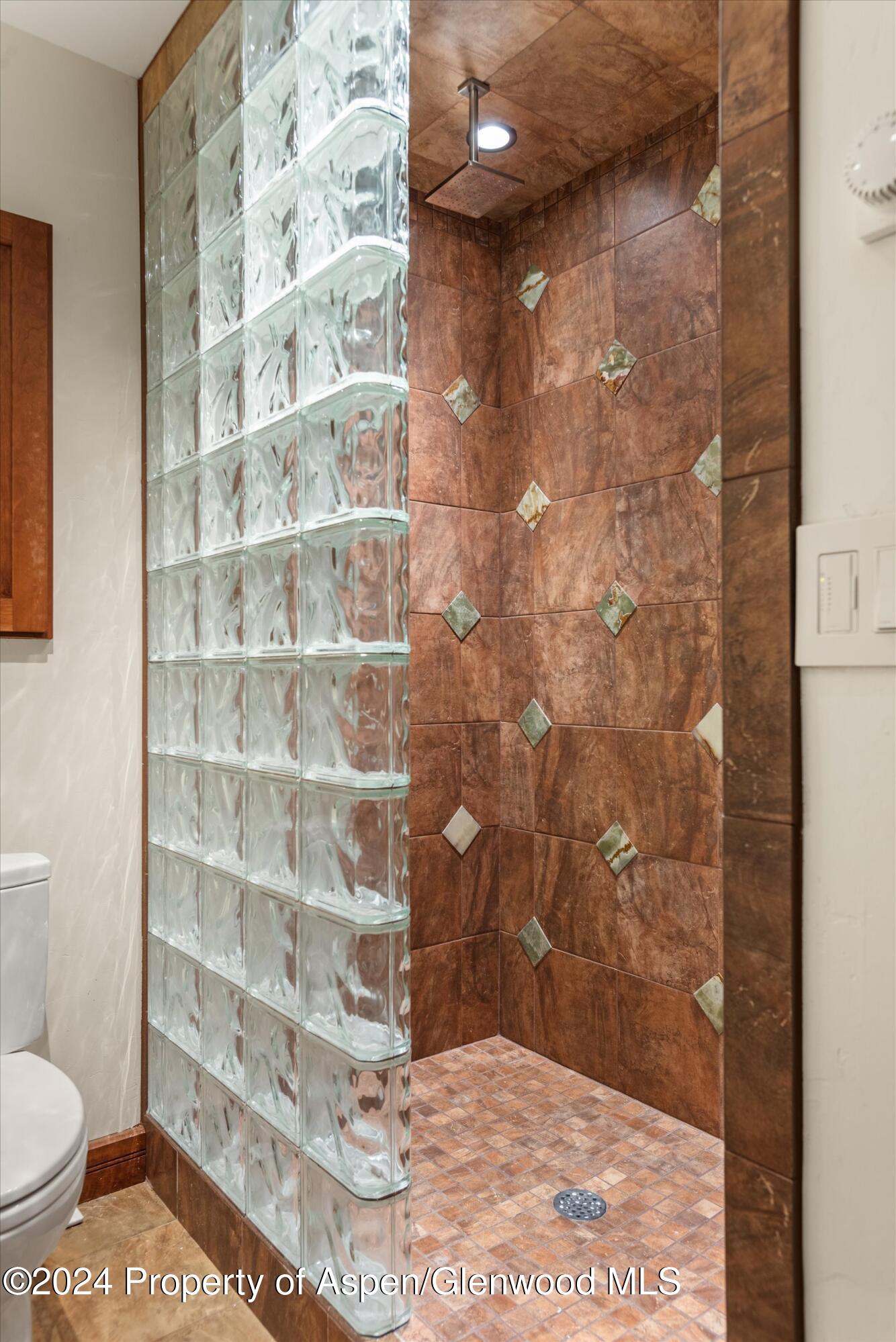 335 Hall Drive Aspen CO 81611