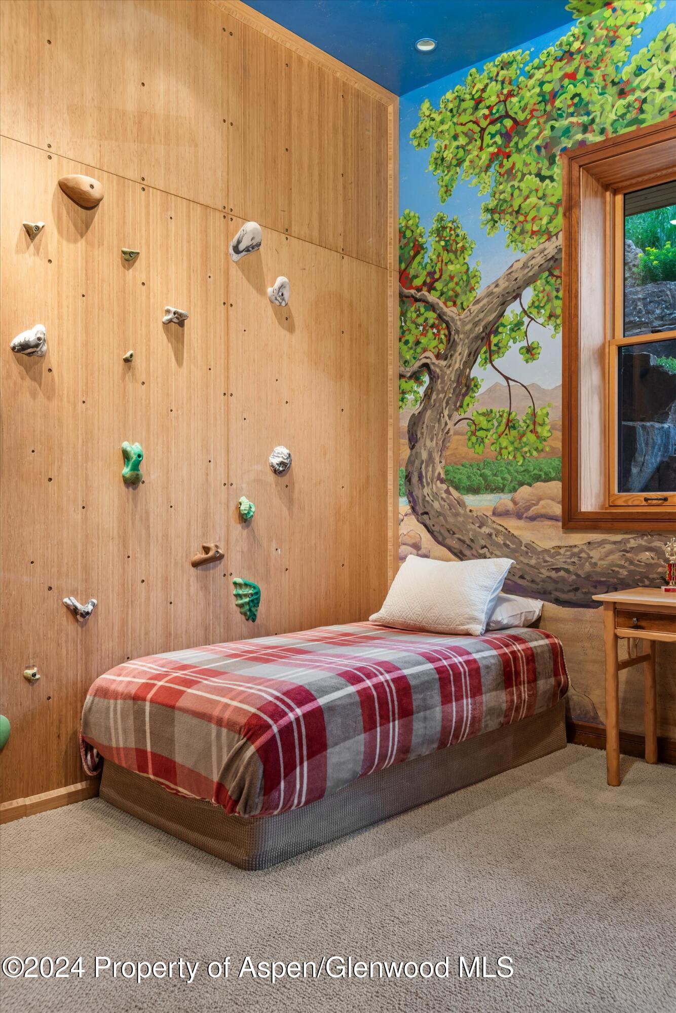 335 Hall Drive Aspen CO 81611