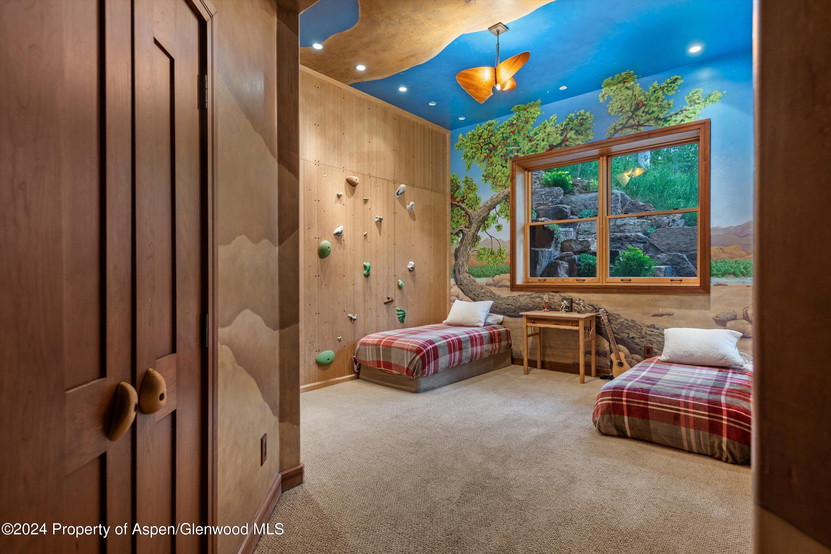 335 Hall Drive Aspen CO 81611