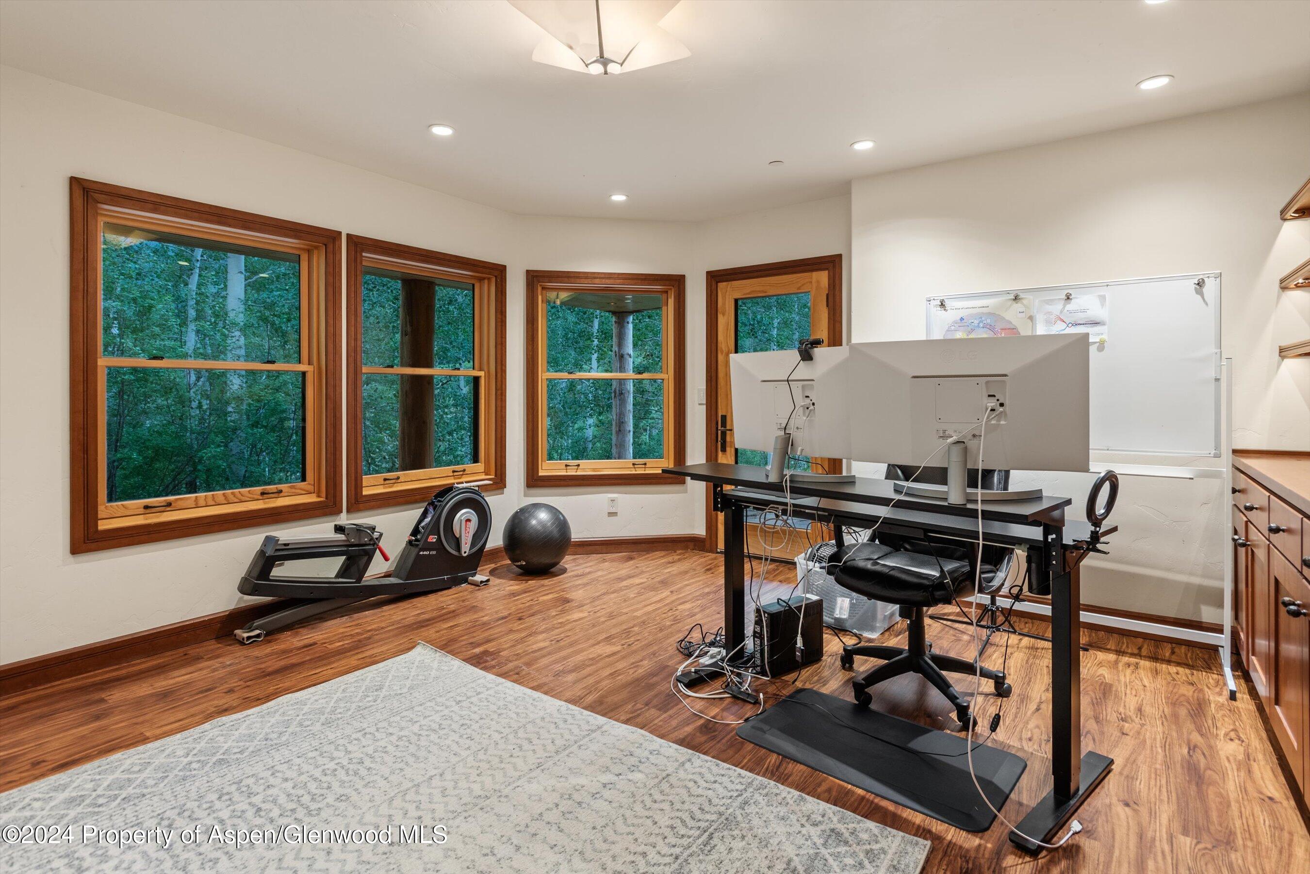 335 Hall Drive Aspen CO 81611