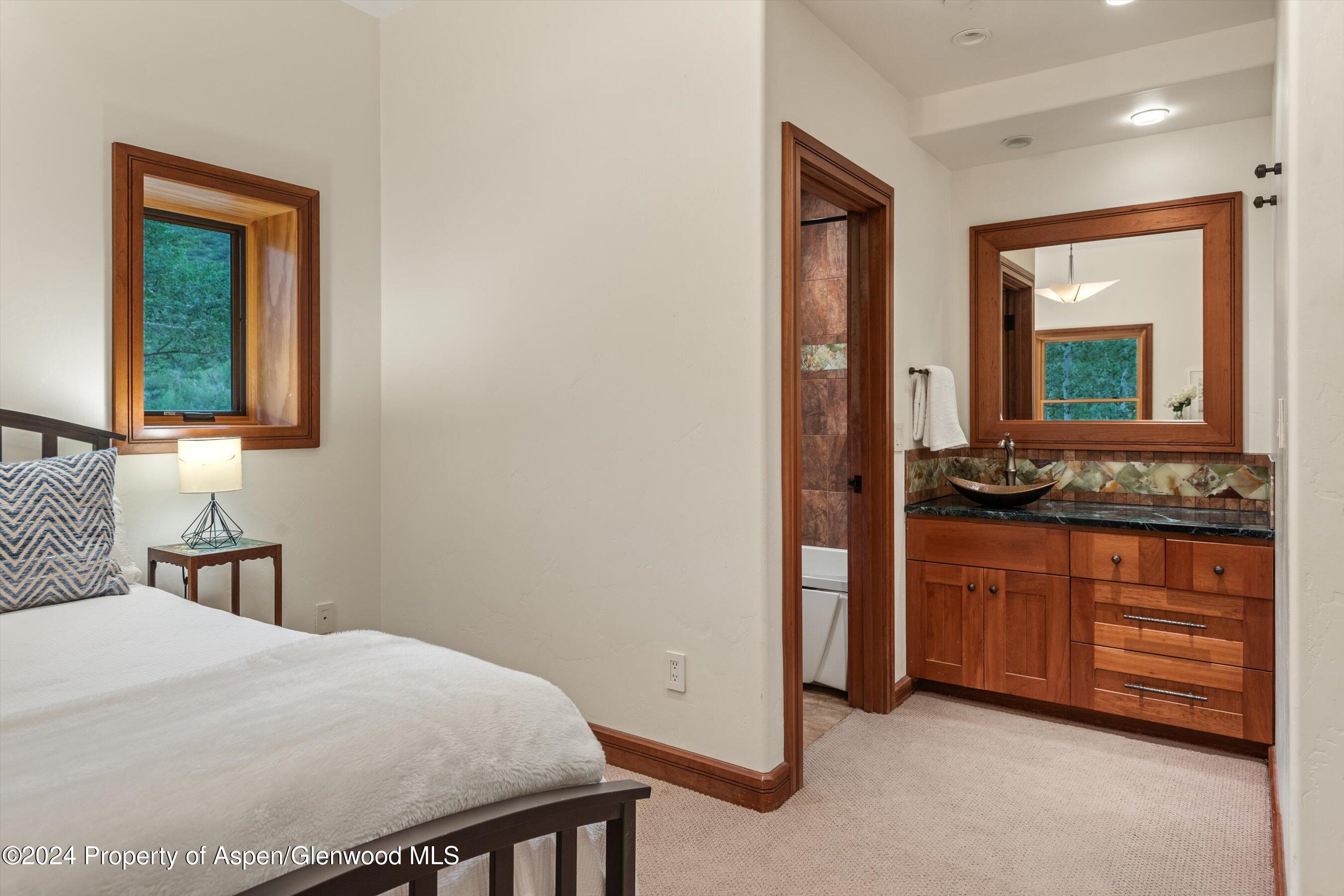 335 Hall Drive Aspen CO 81611