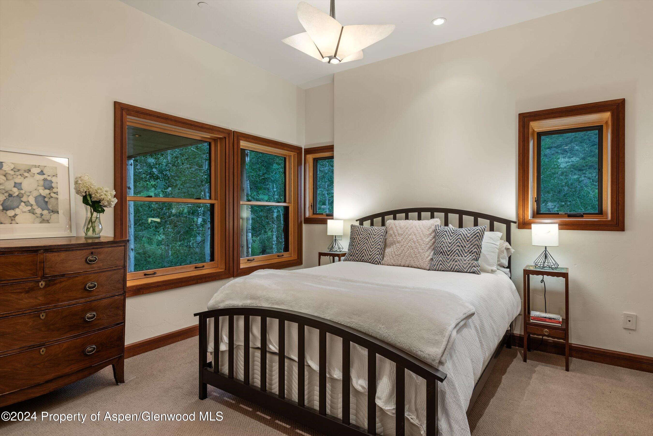 335 Hall Drive Aspen CO 81611