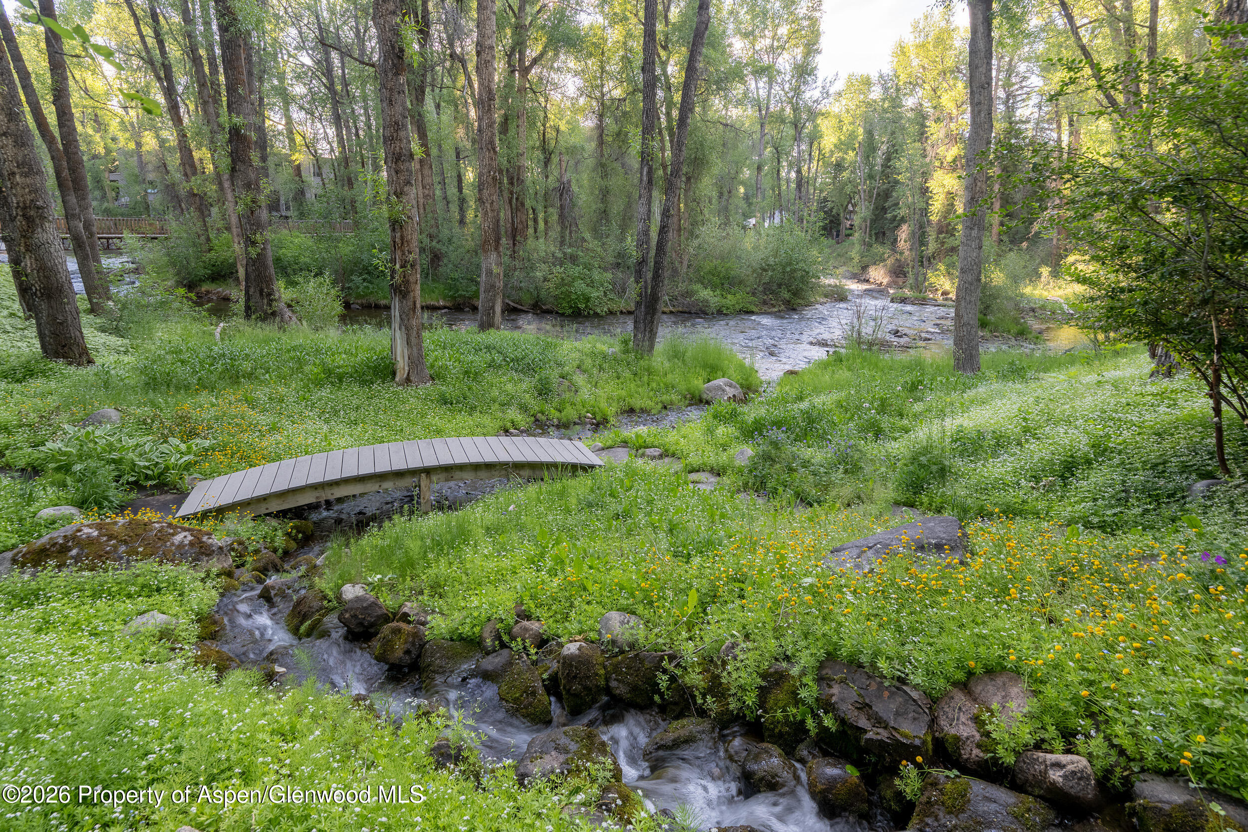 115 Neale Avenue Aspen CO 81611