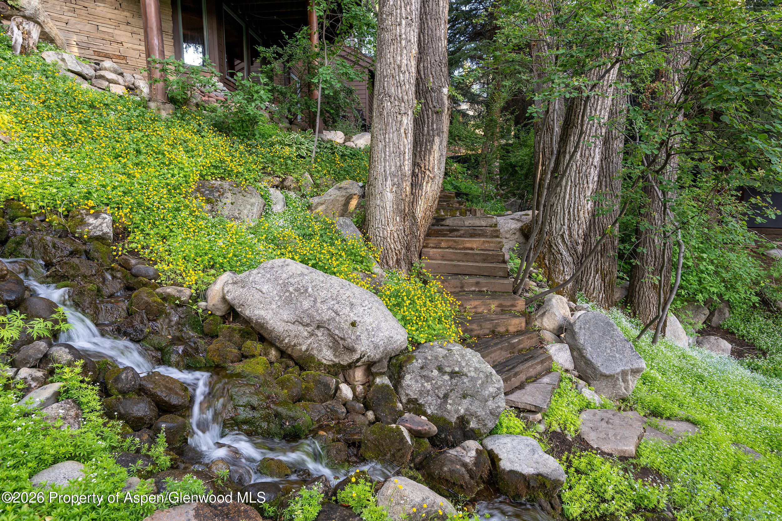 115 Neale Avenue Aspen CO 81611