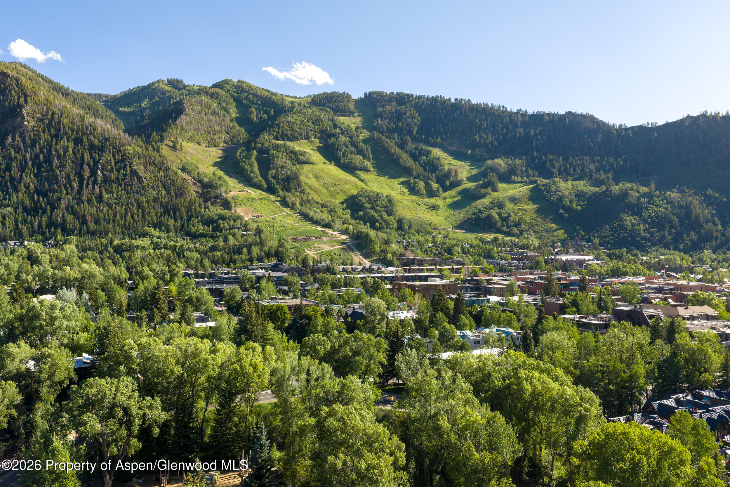 115 Neale Avenue Aspen CO 81611