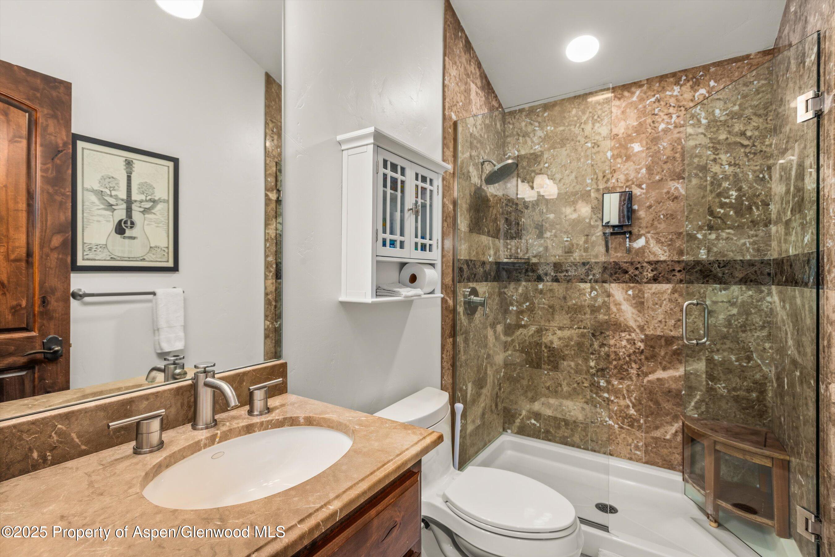 11 Pinon Lane Carbondale CO 81623