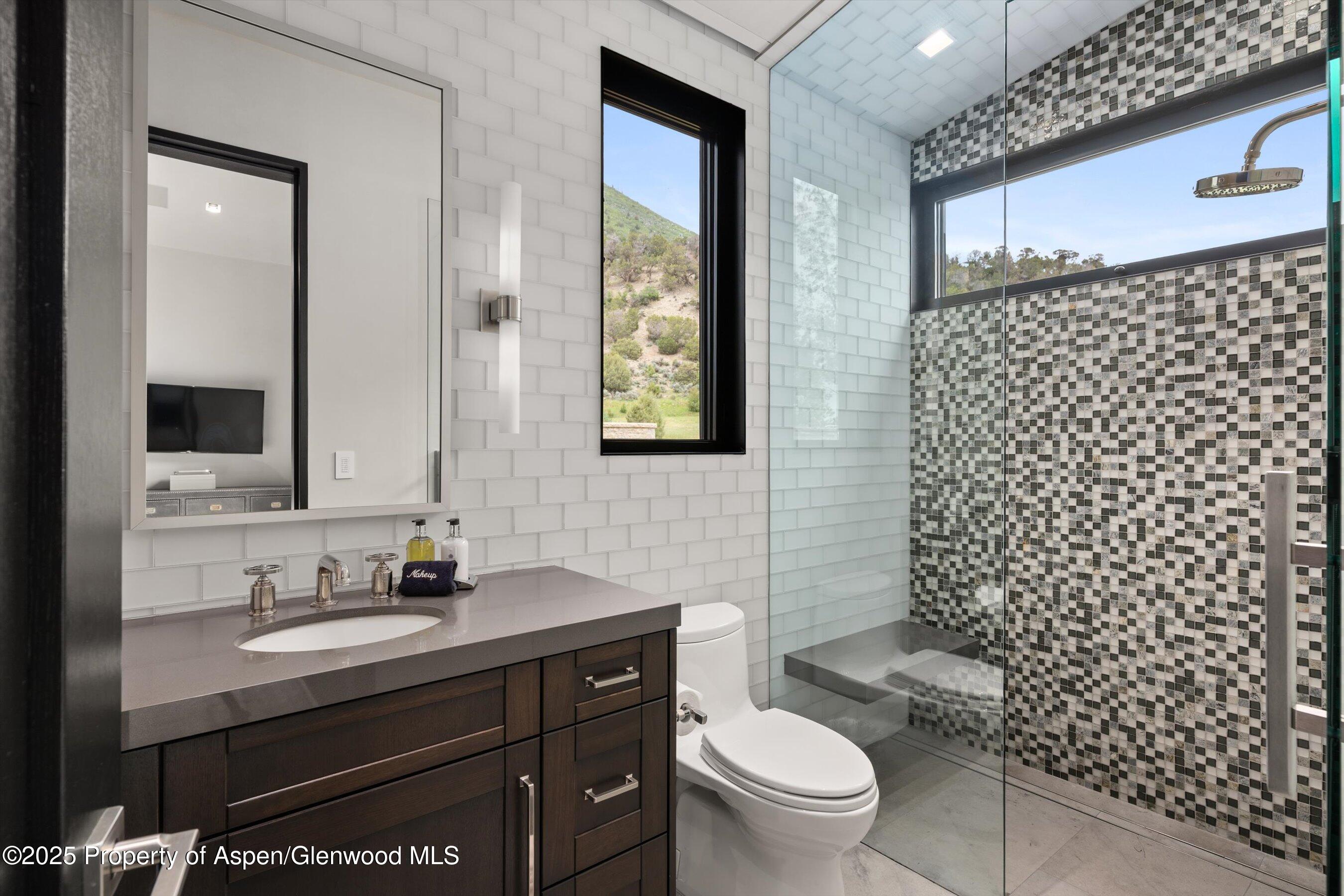 295 Aspen Valley Ranch Road Woody Creek CO 81656