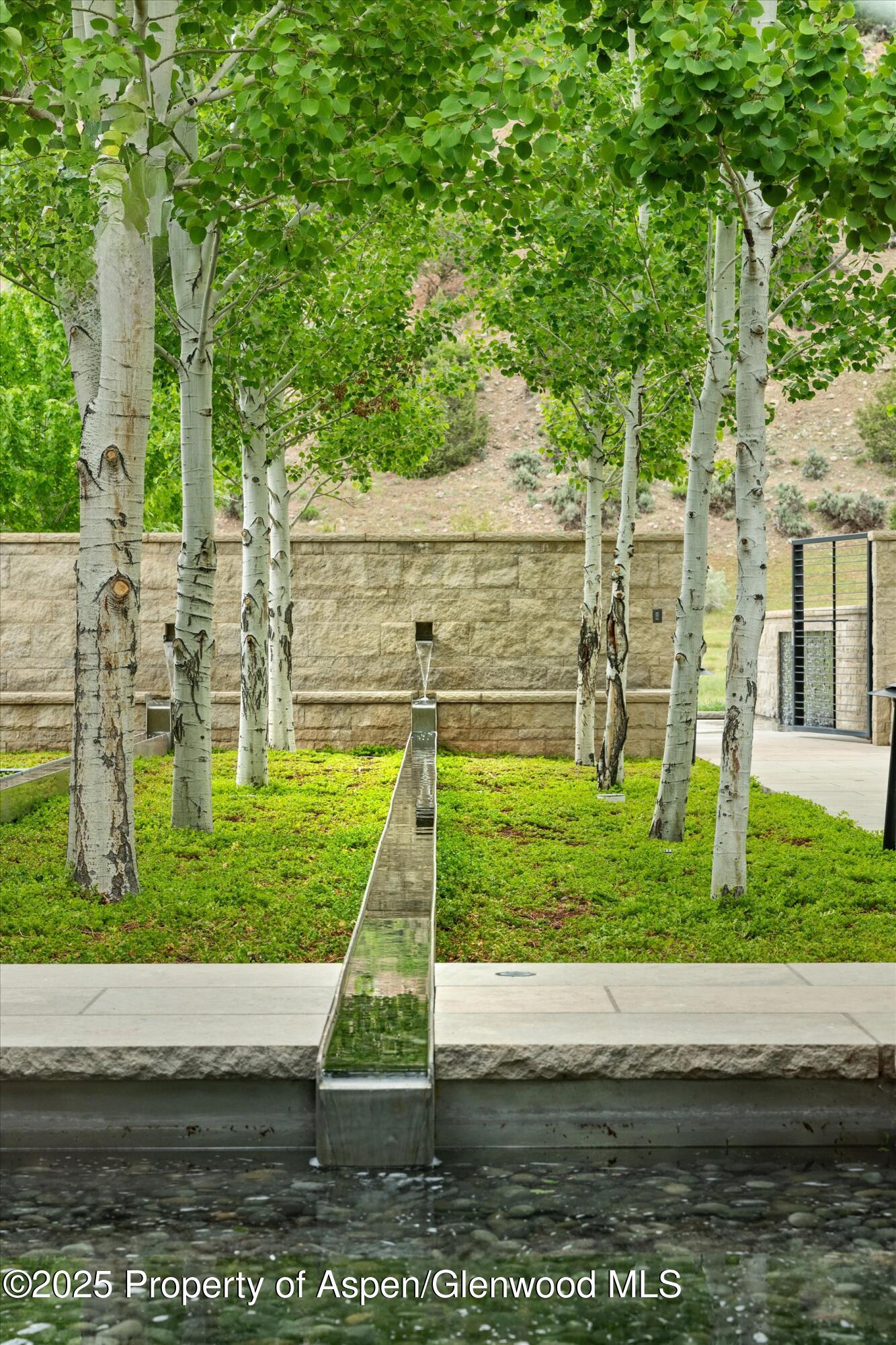 295 Aspen Valley Ranch Road Woody Creek CO 81656