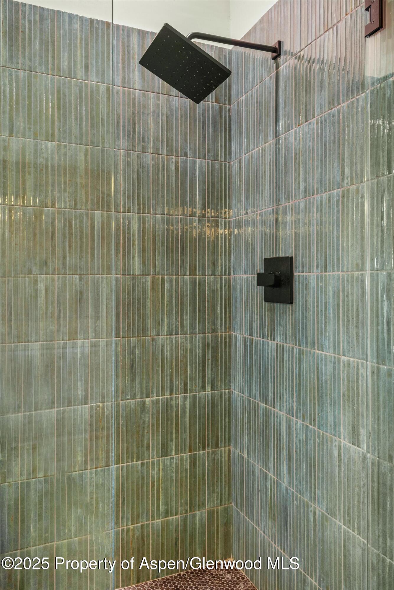 125 Co Road 127 Glenwood Springs CO 81601