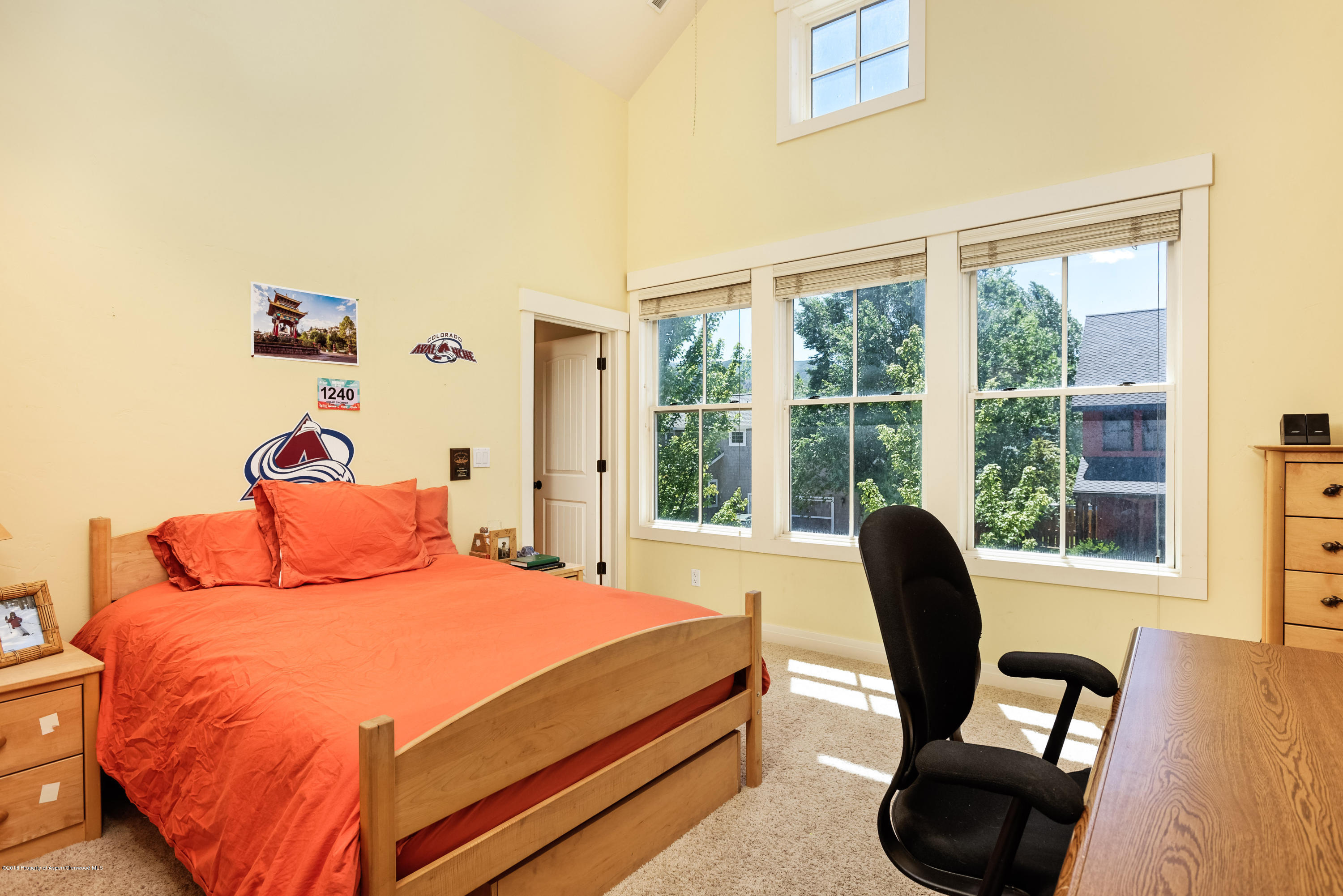 334 Sopris Circle Basalt CO 81621