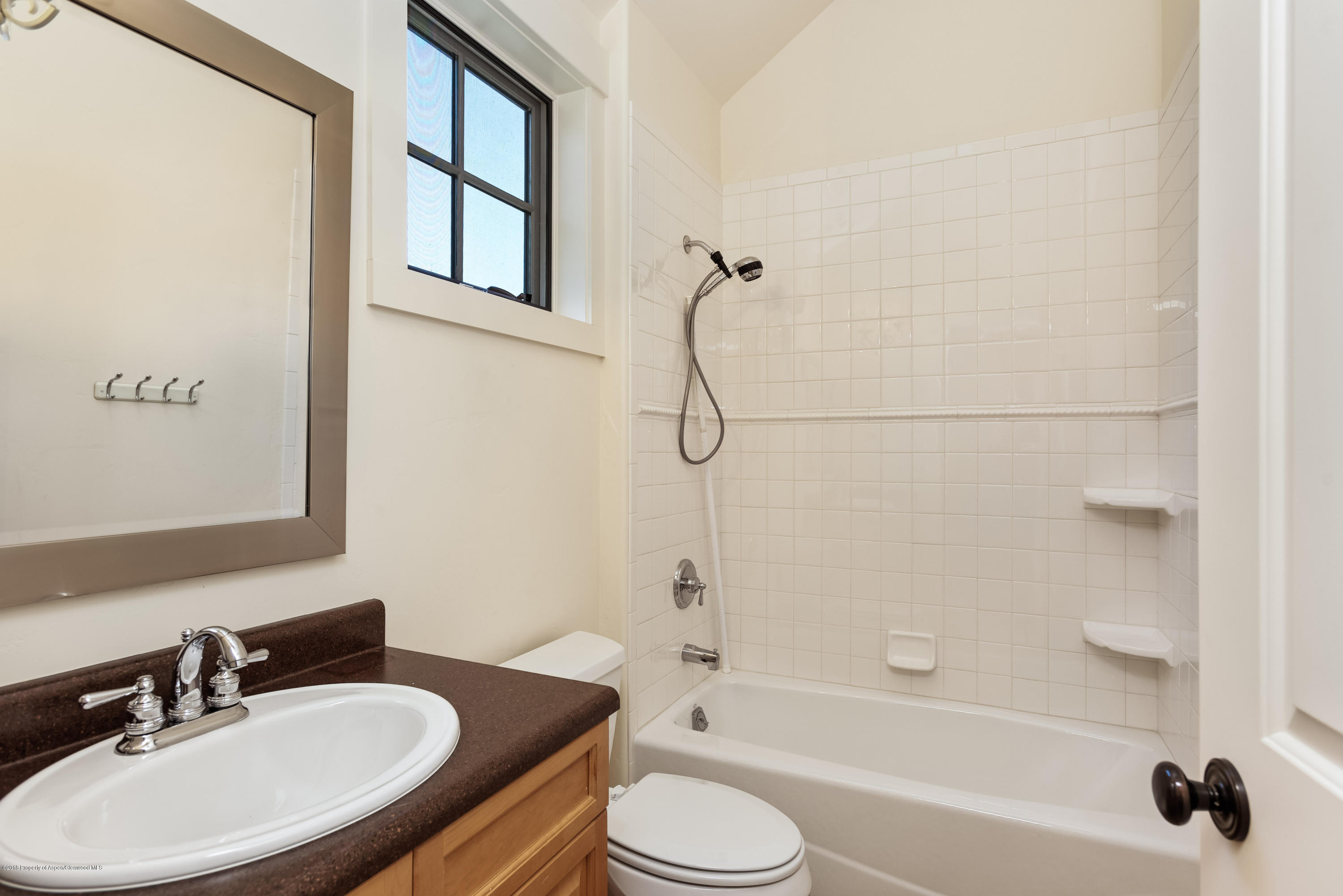 334 Sopris Circle Basalt CO 81621