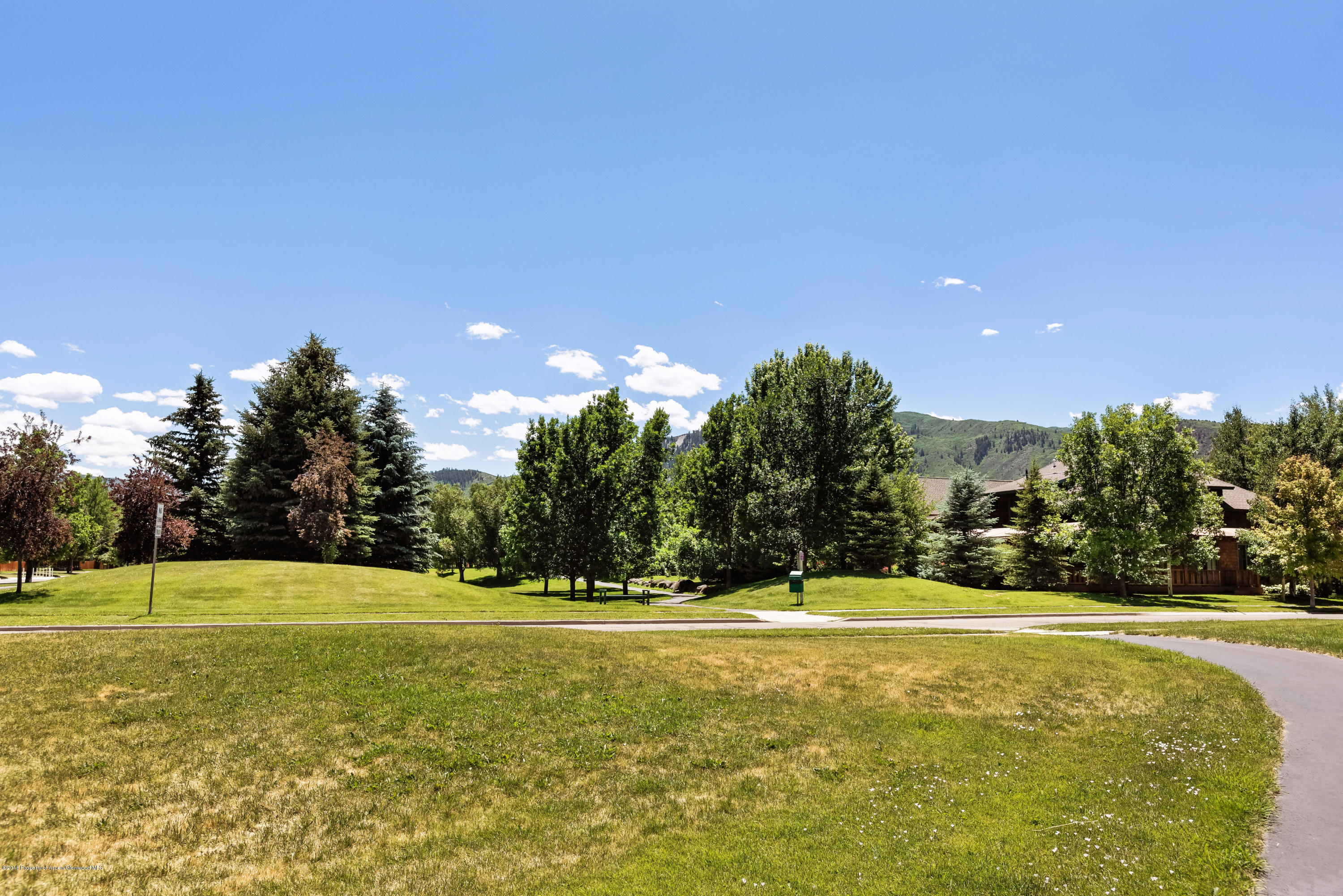 334 Sopris Circle Basalt CO 81621